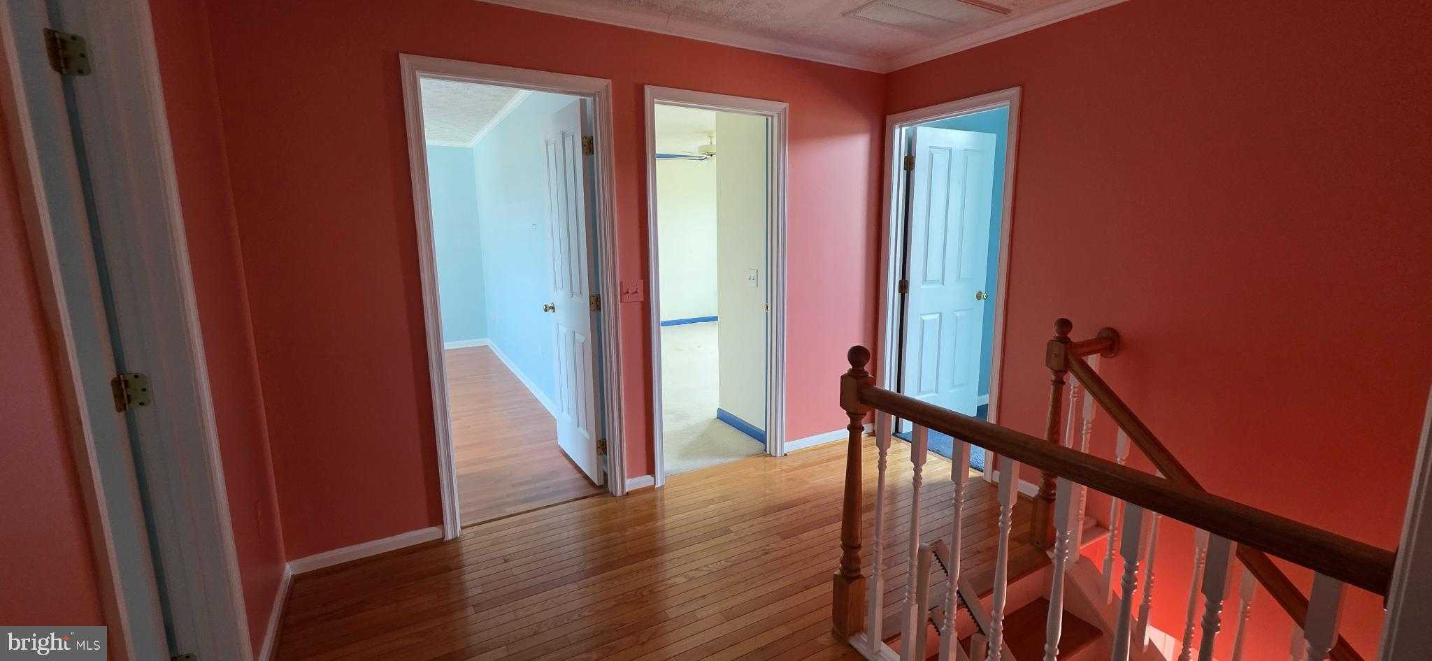 221 Winchester Dr photo 18