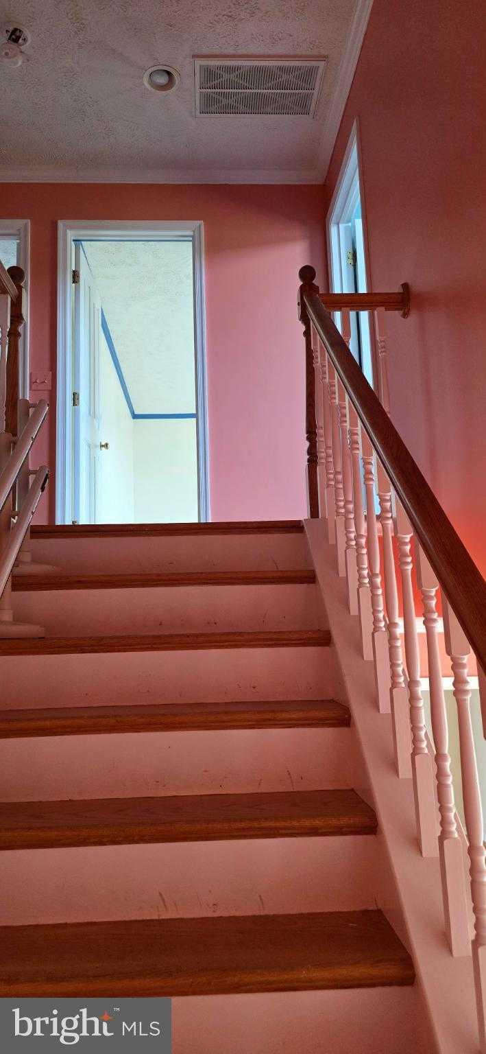 221 Winchester Dr photo 51