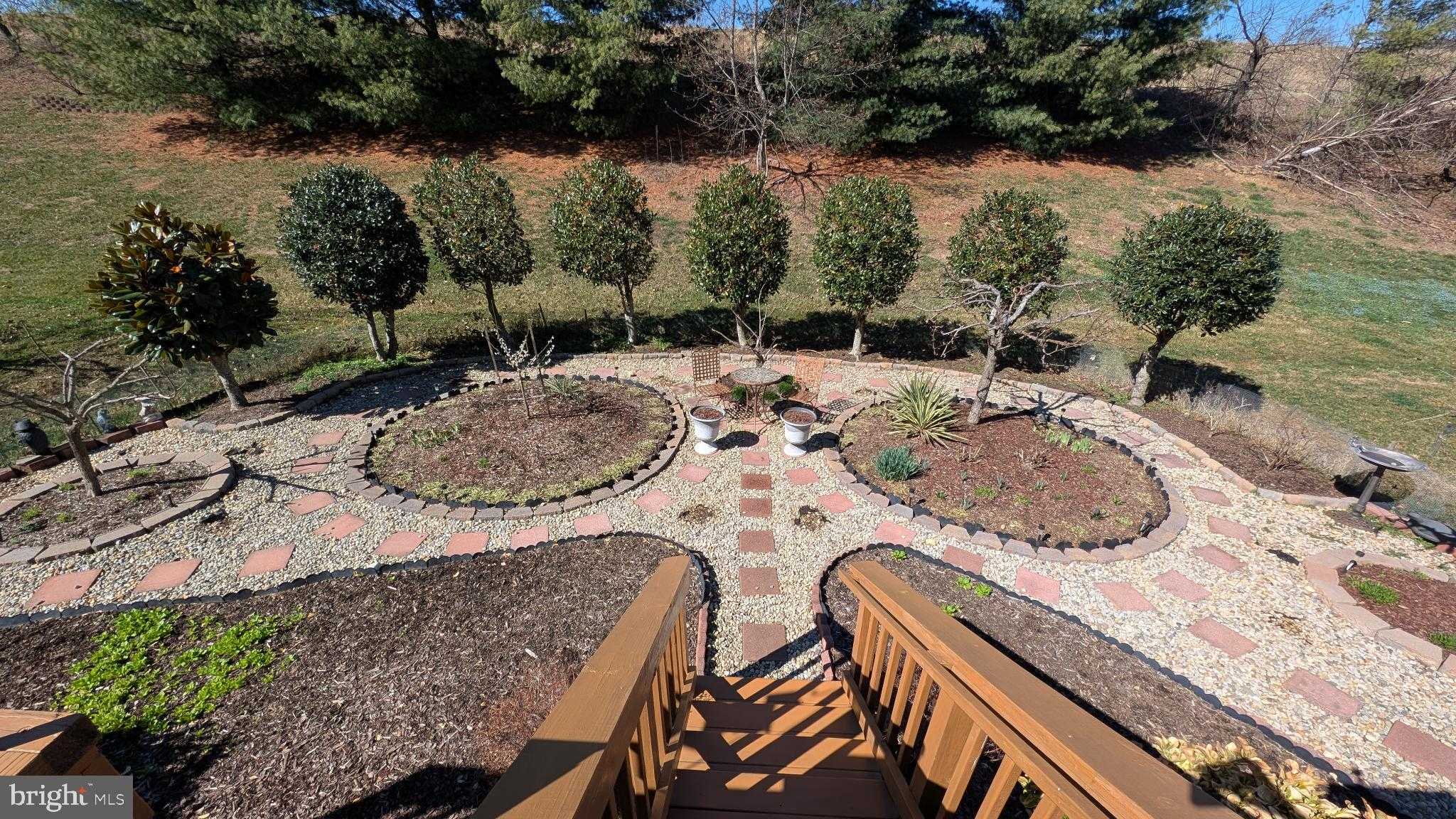 1108 Pickett St photo 14