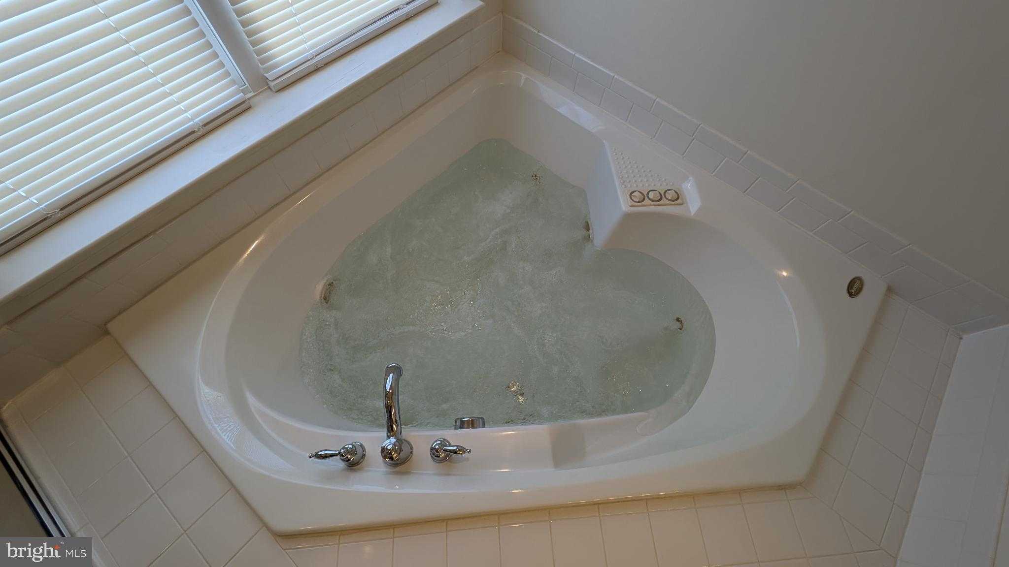 1108 Pickett St photo 27