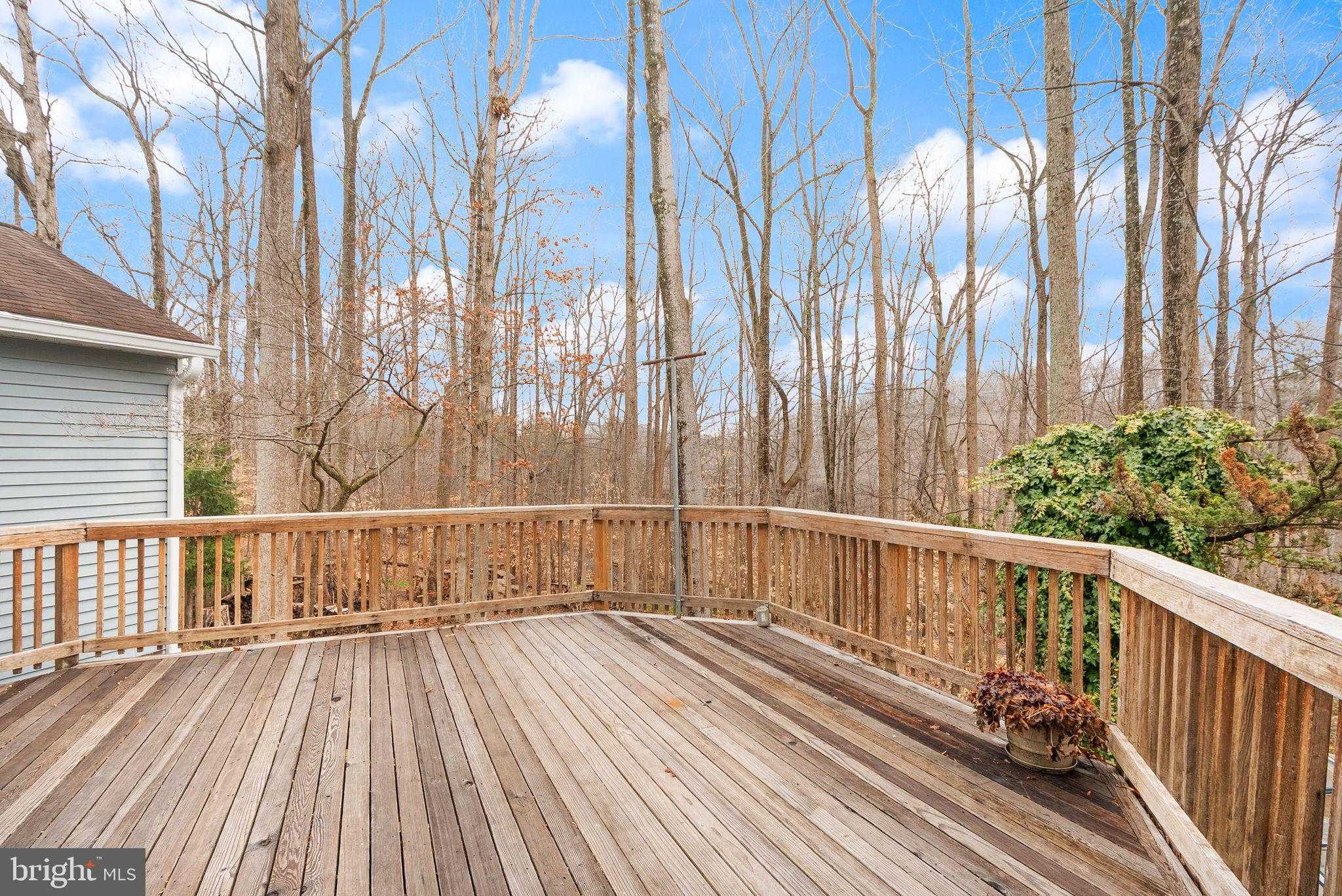 8461 Rushing Creek CT photo 64