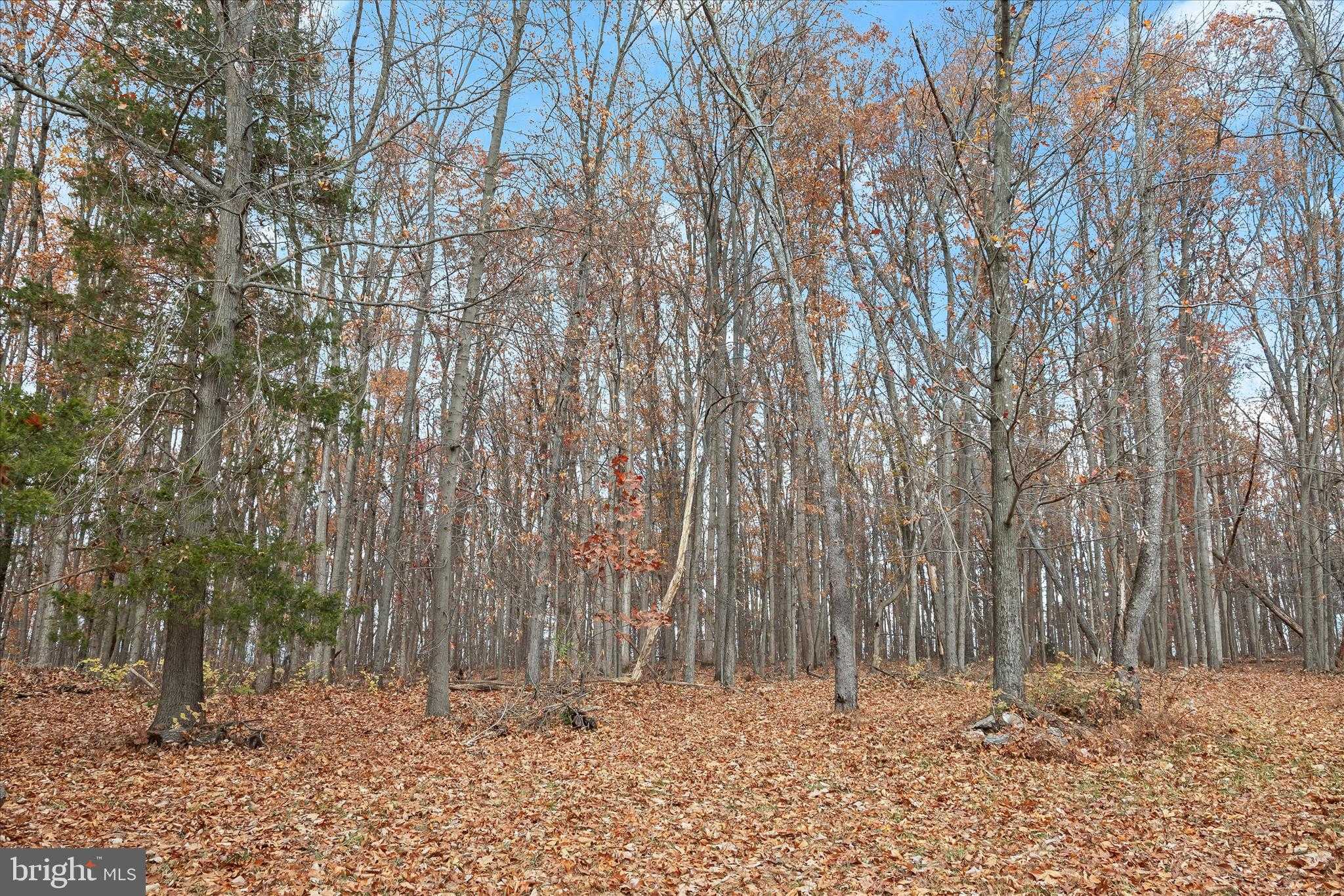 3580 Flickinger Rd photo 80