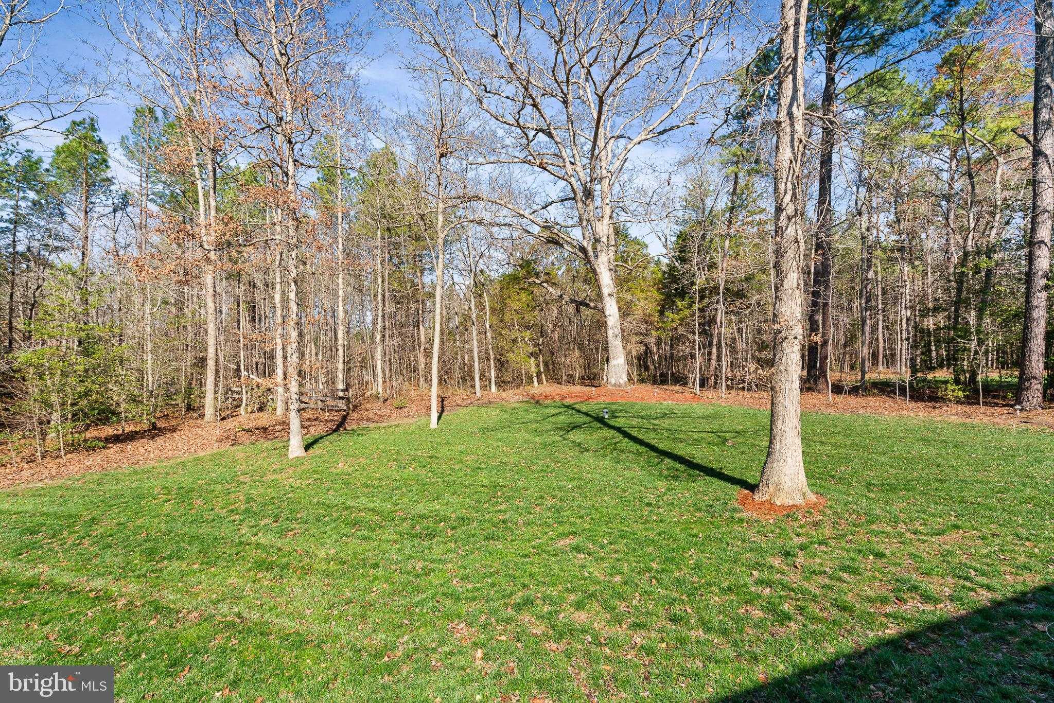 4305 Bridlepath CT photo 55