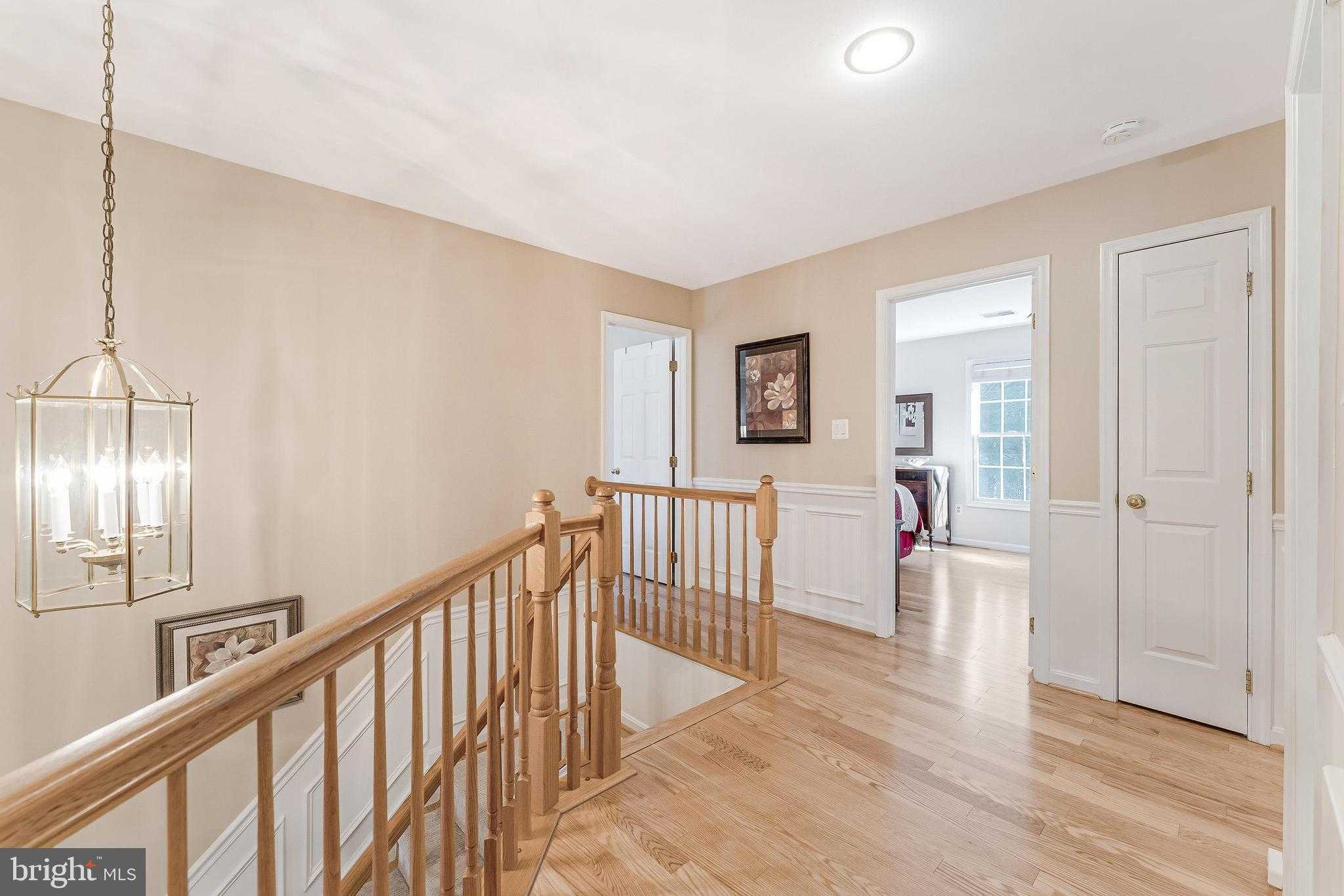 10005 Bald Cypress Dr photo 35