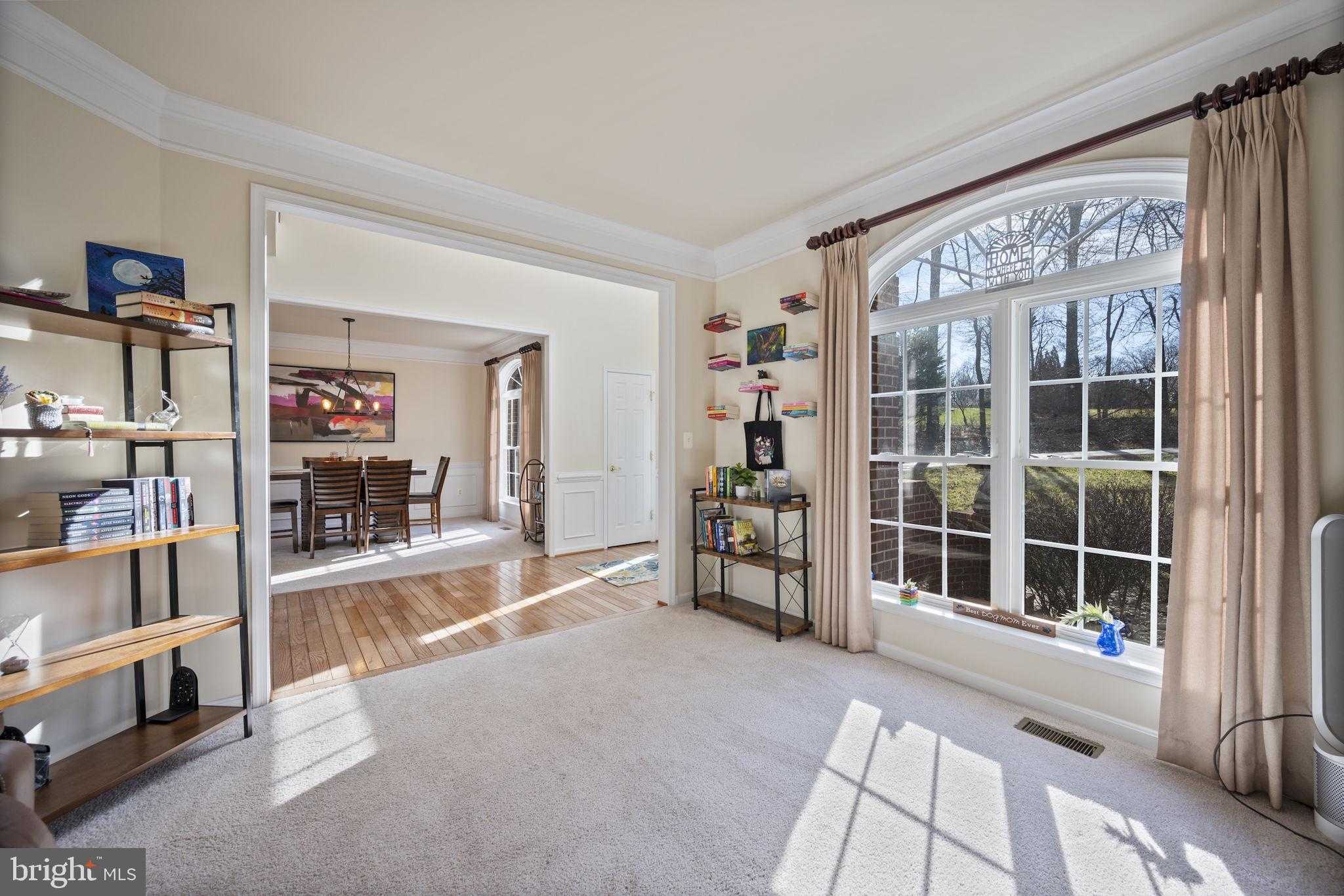 3 Blue Violet CT photo 12