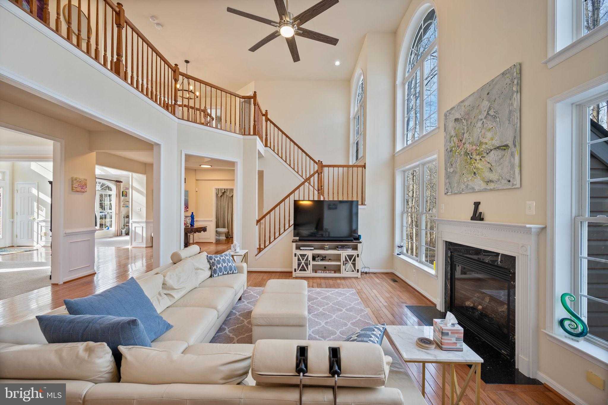 3 Blue Violet CT photo 24