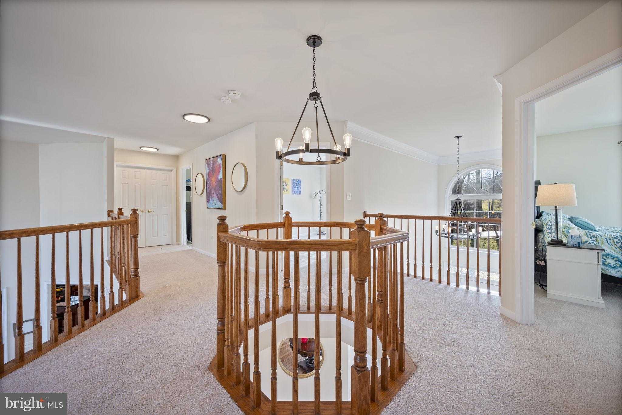 3 Blue Violet CT photo 53