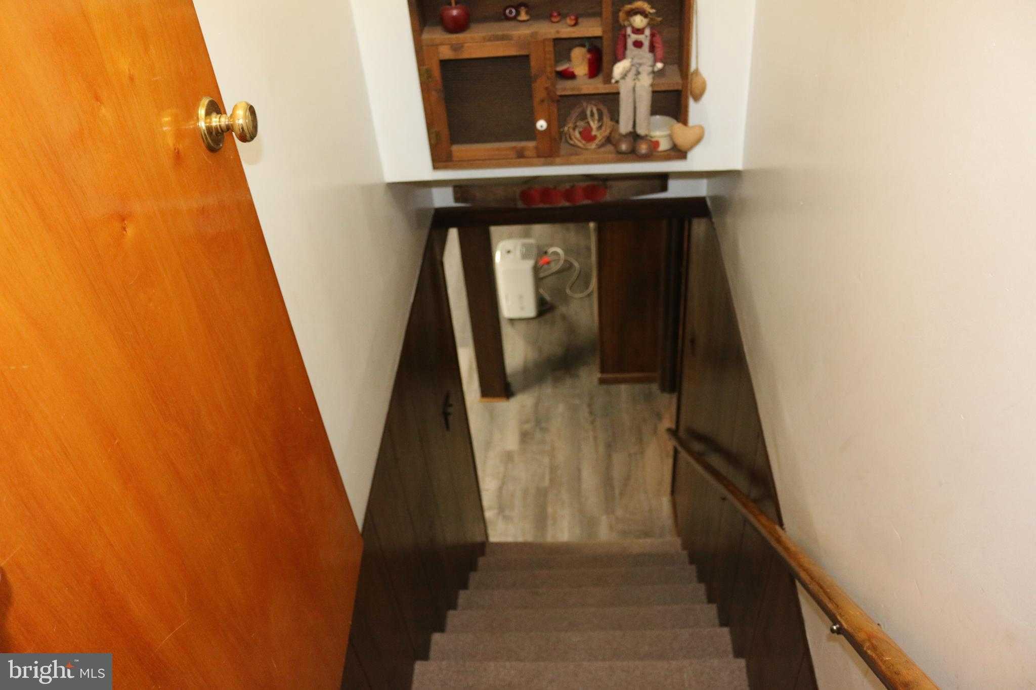 103 Trenton St photo 48