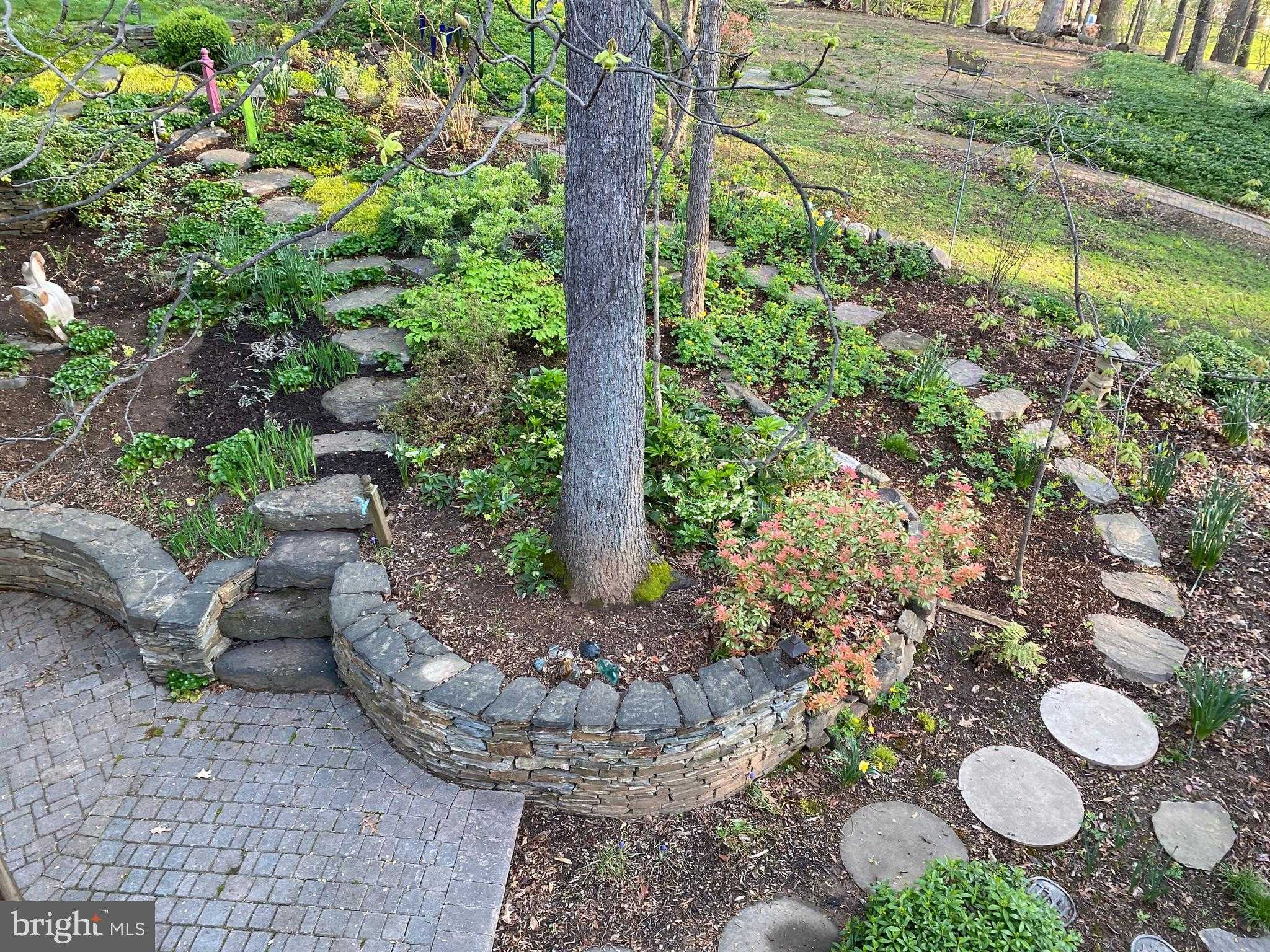 11698 Fox Glen Dr photo 73