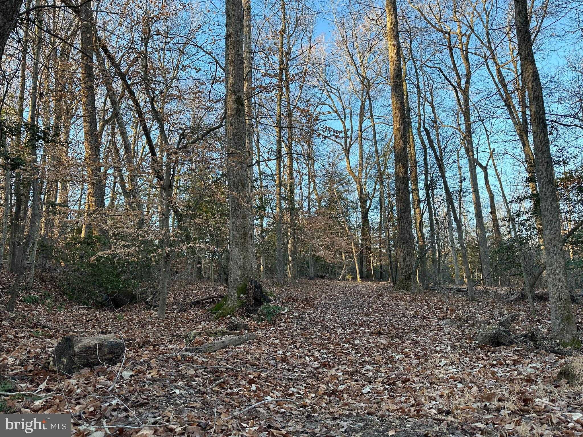 St Marys St photo 27