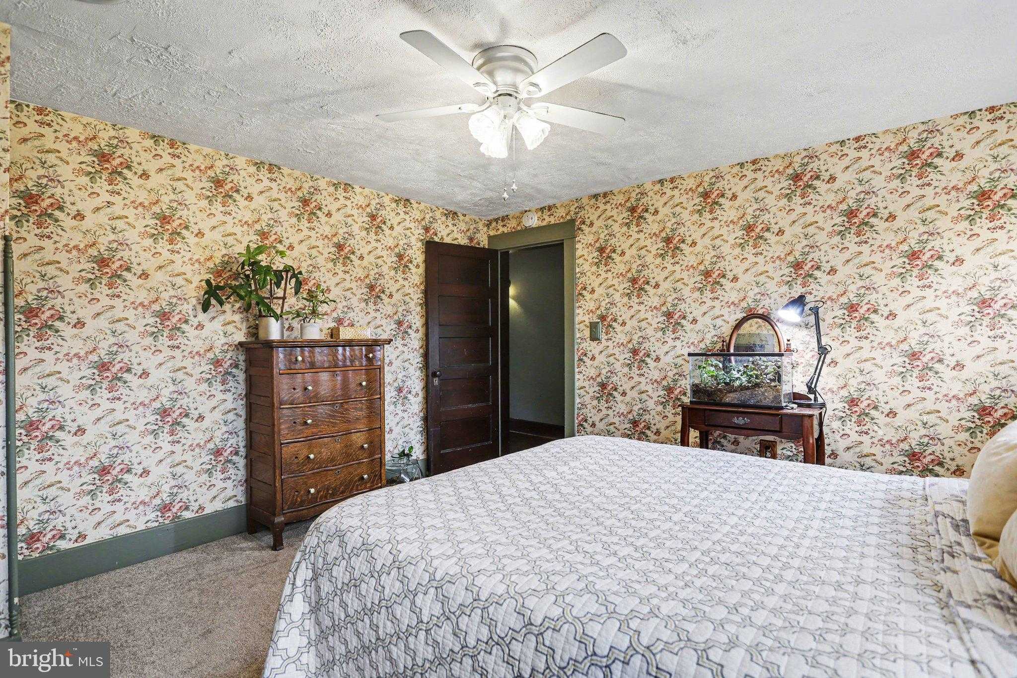 29 Hayward Hts photo 28