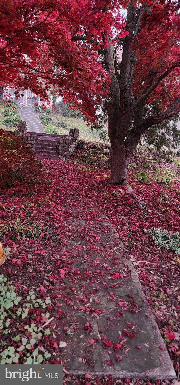 29 Hayward Hts photo 40