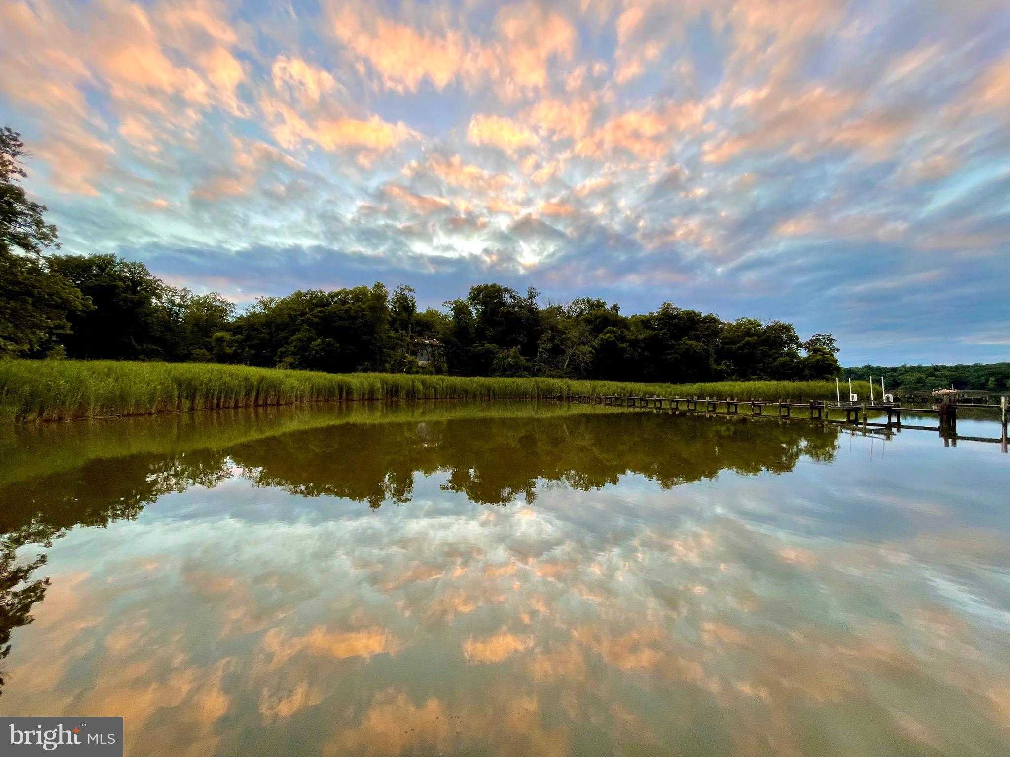 24241 Drayton Landing Dr photo 60