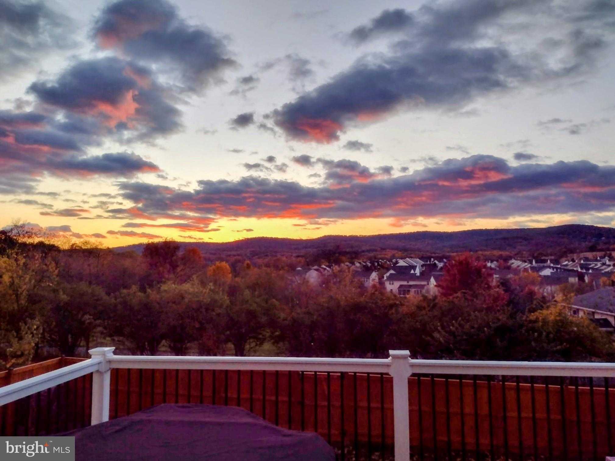 2086 Pomona Way photo 75