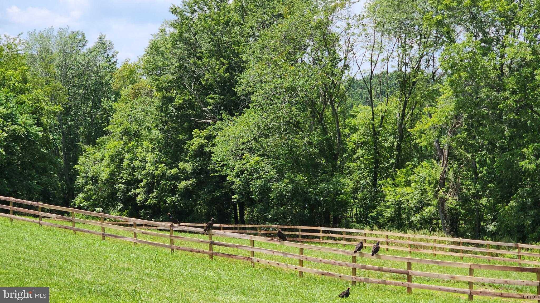 6478 Laurel Hill Ln photo 47