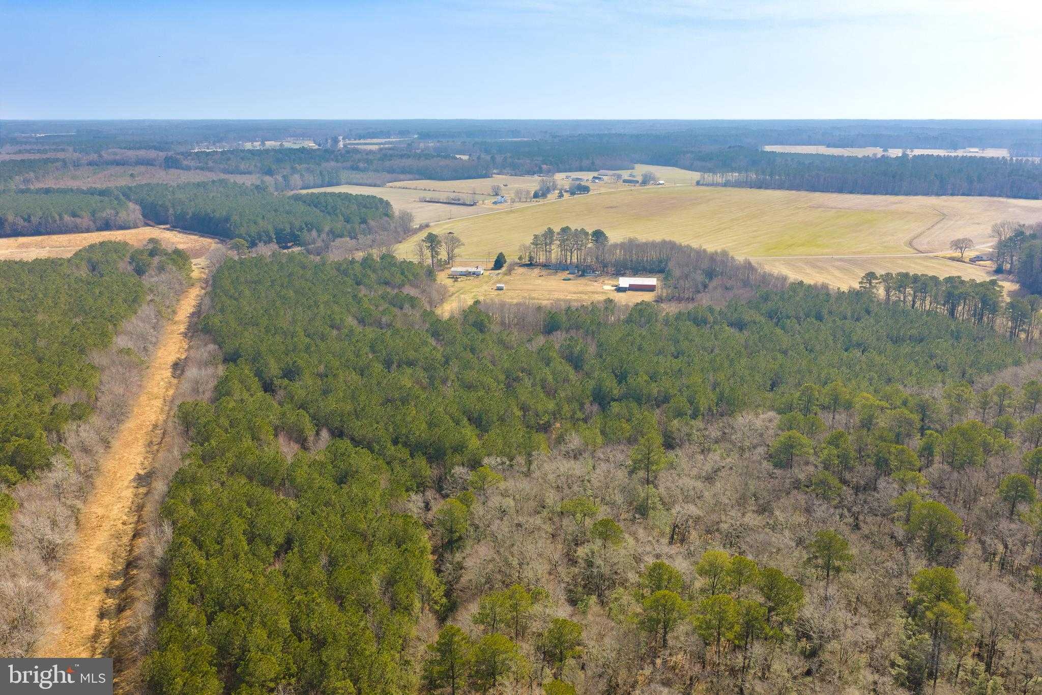 14450 Backbone Rd photo 49