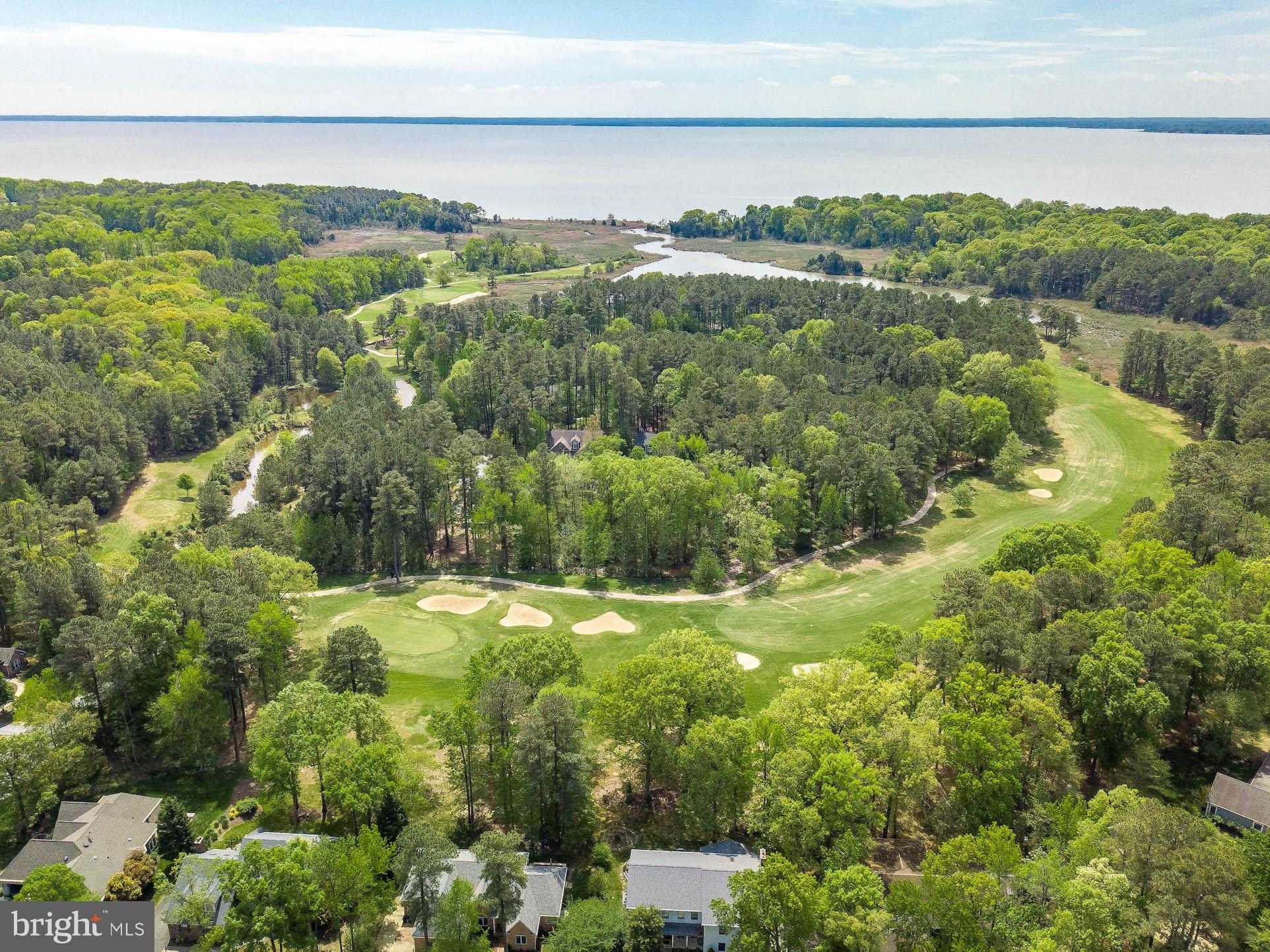 11625 Bachelors Hope CT photo 45