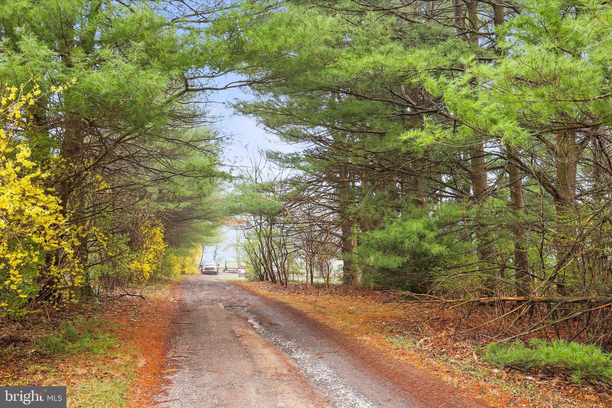 909 Emory Church Rd photo 30