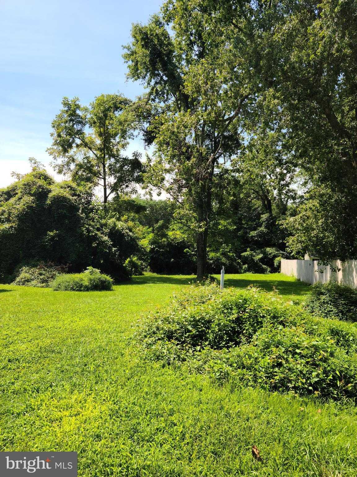 212 Little Kidwell Ave photo 4