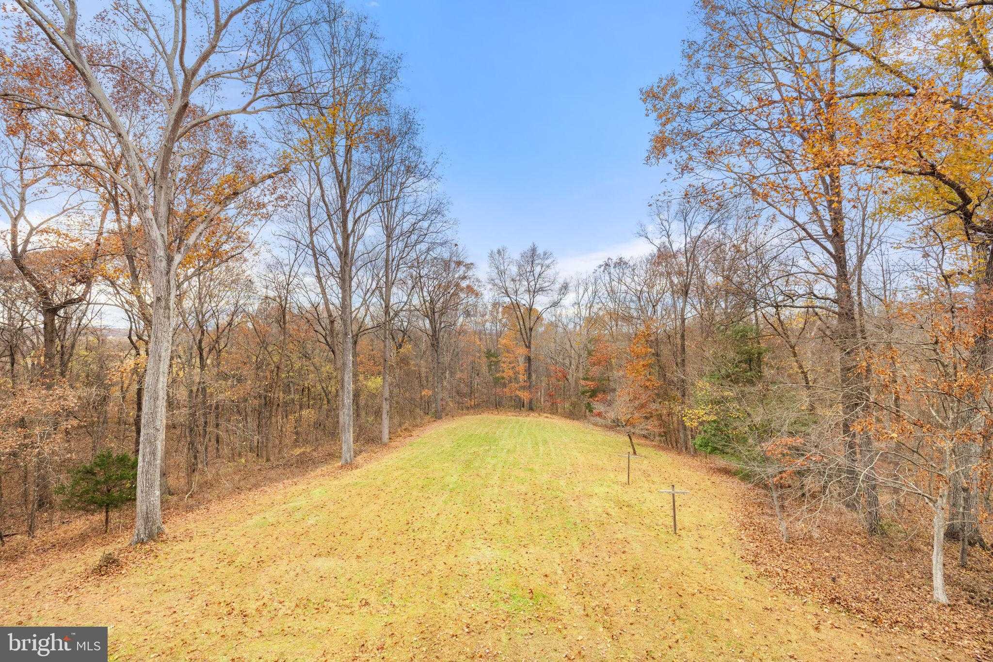 8423 Lock Ln photo 78