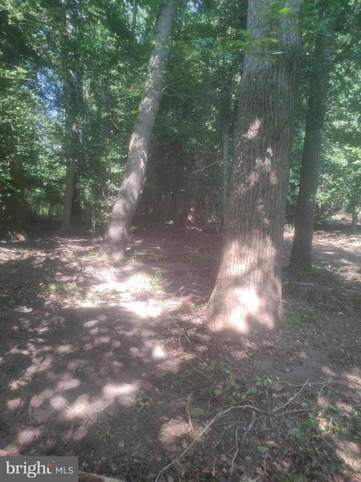 5940 Barberry Trl photo 3