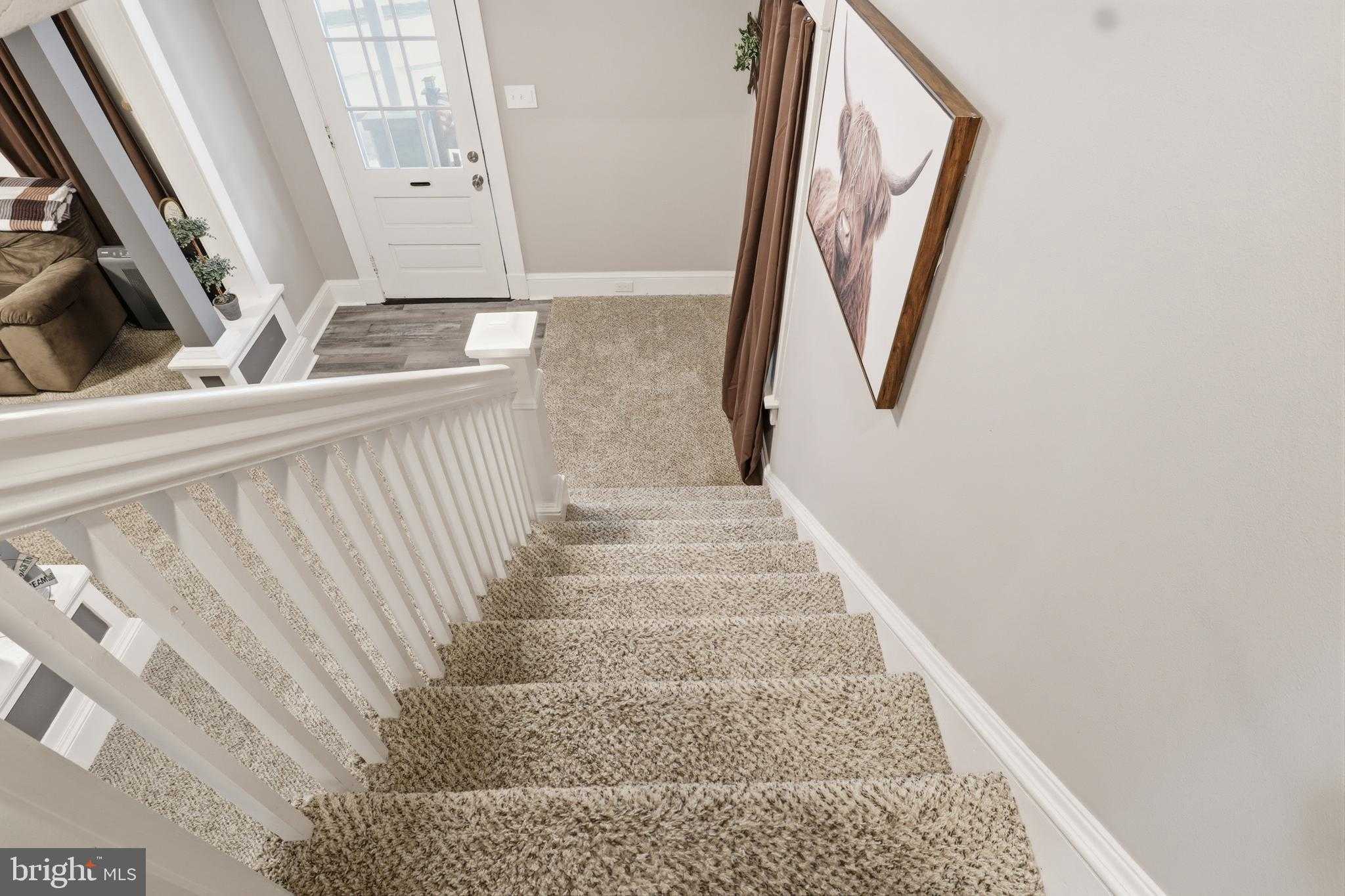 538 York St photo 27