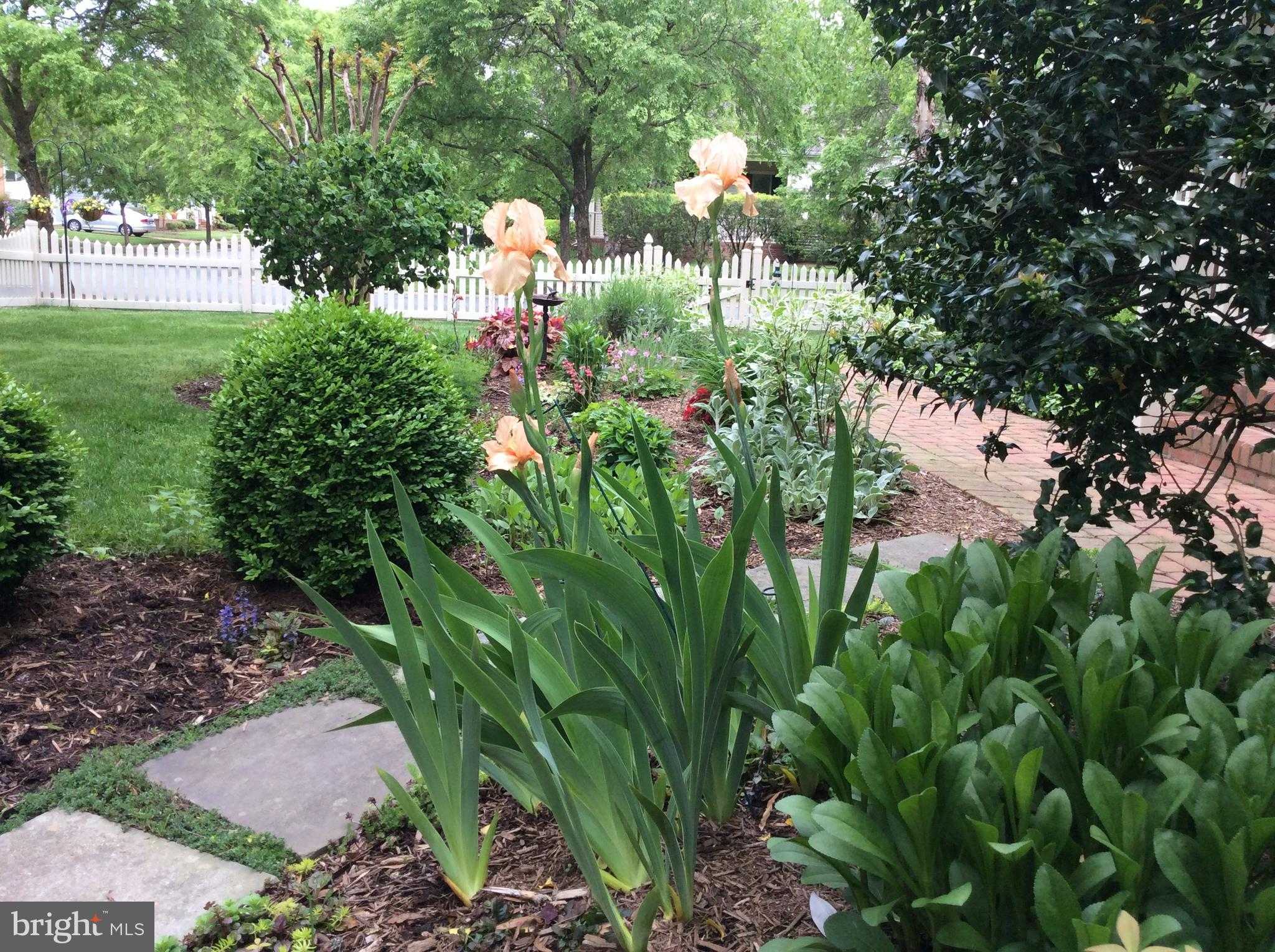 28713 Emanuel St photo 31