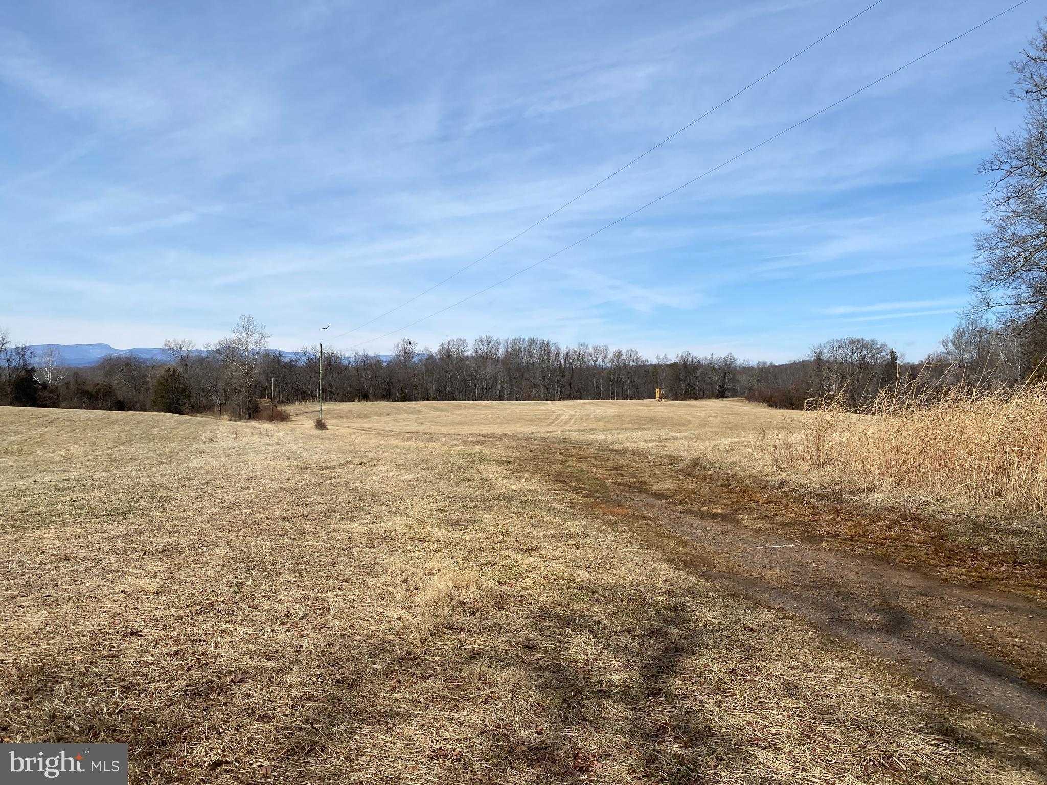 19197 Whites Farm Ln photo 7