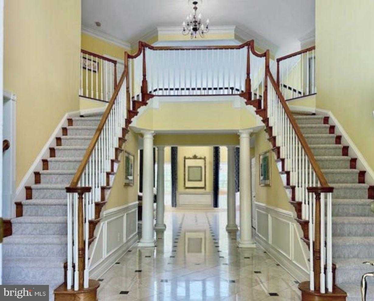 41113 Canongate Dr photo 3