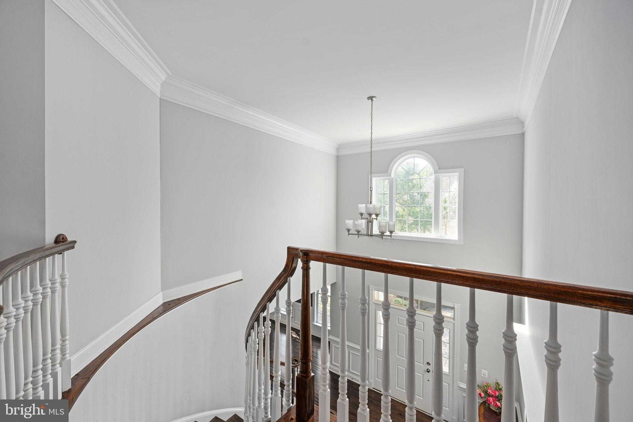 11611 Pine Hollow Ln photo 75