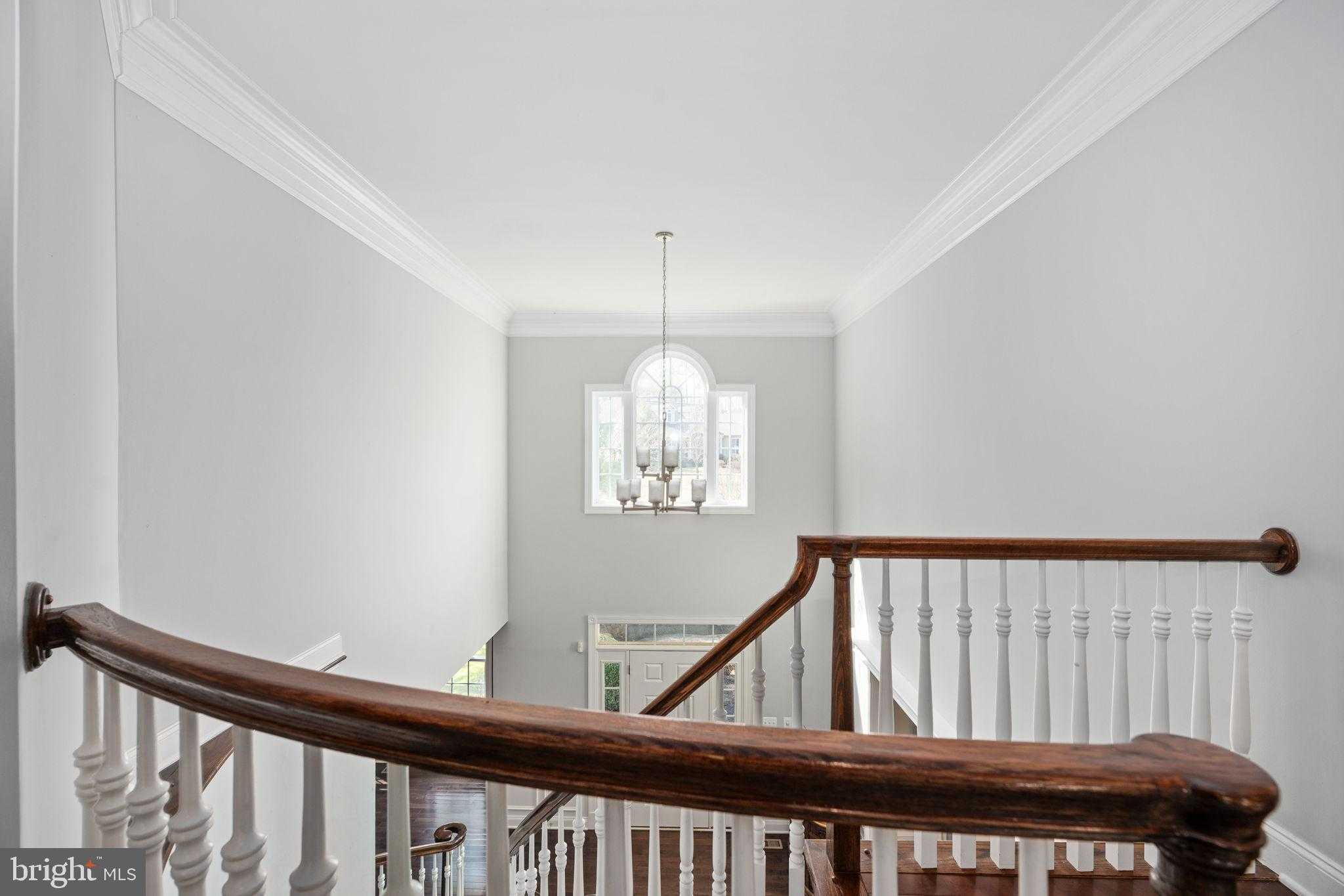 11611 Pine Hollow Ln photo 76