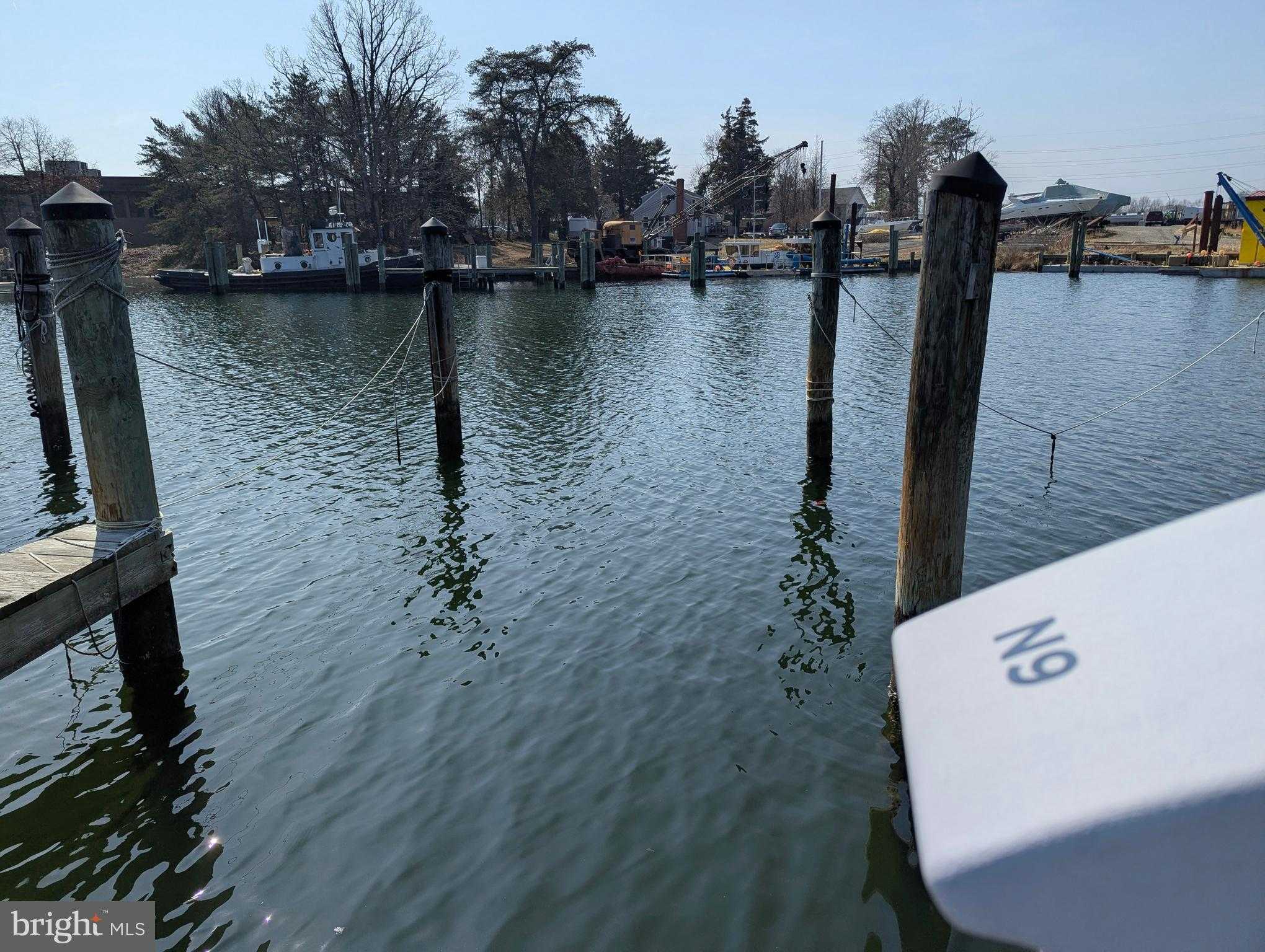 232 Driftwood Ln photo 42