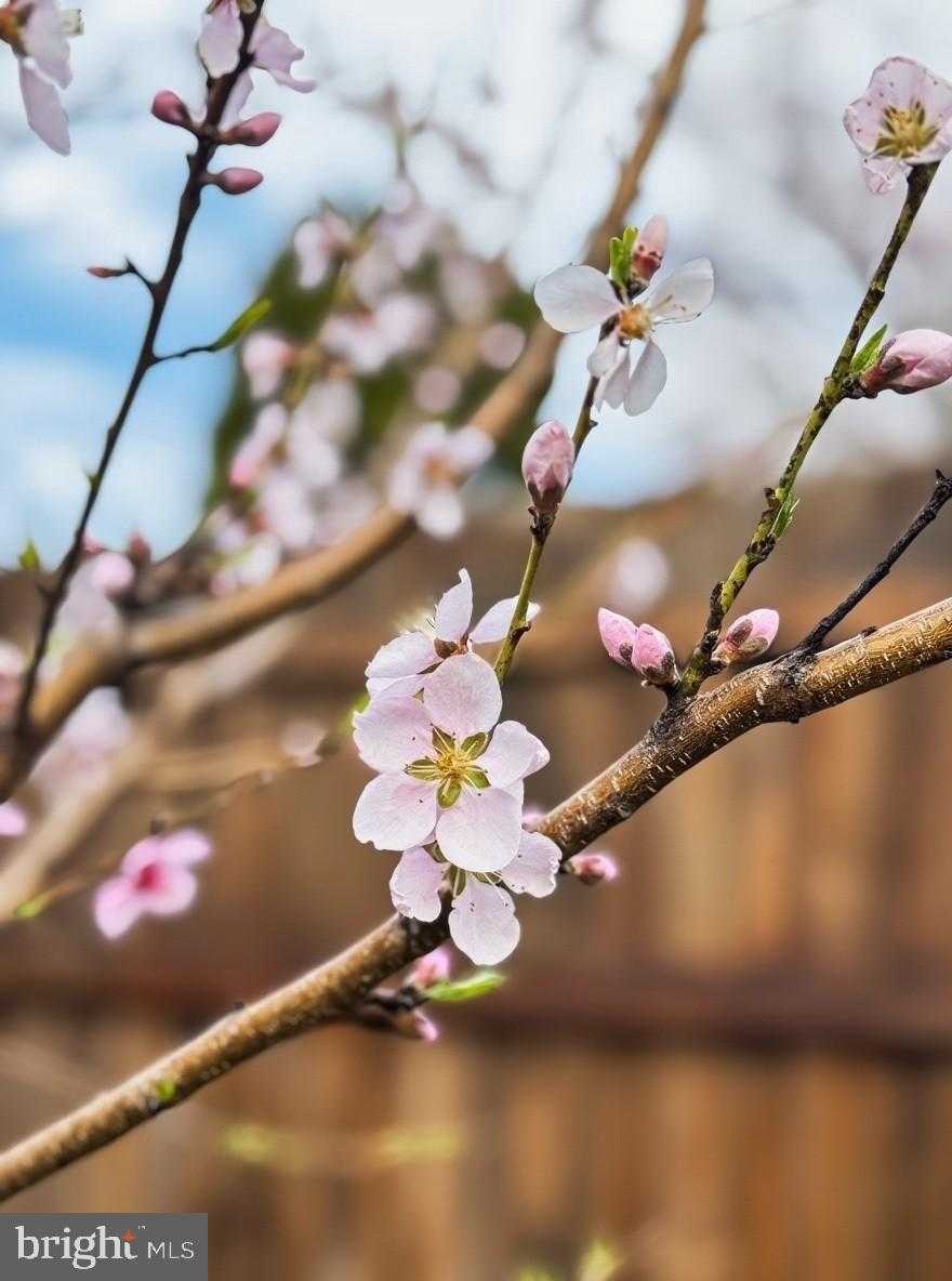 14701 Brook Dr photo 4