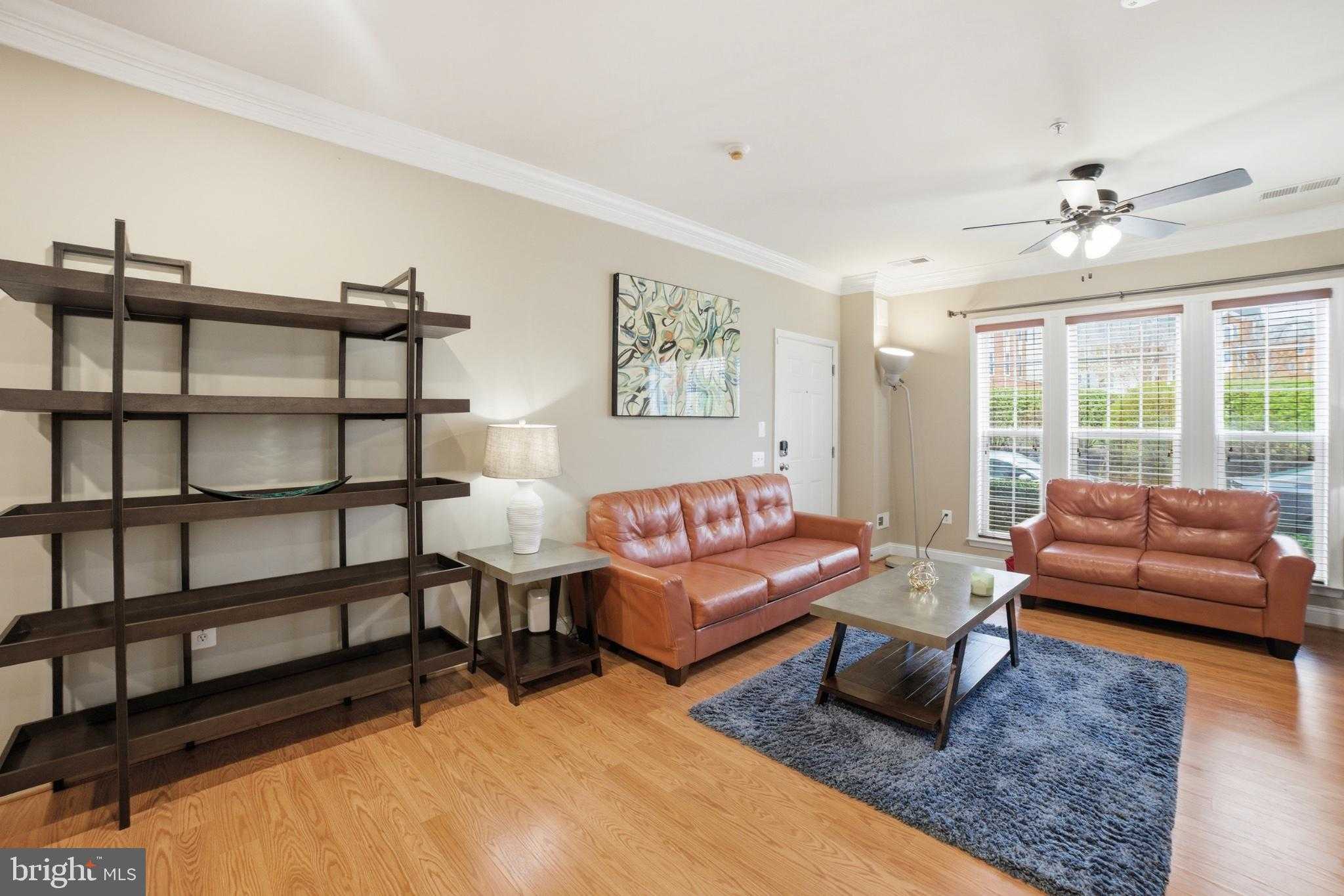 14535 Barkham Dr photo 5