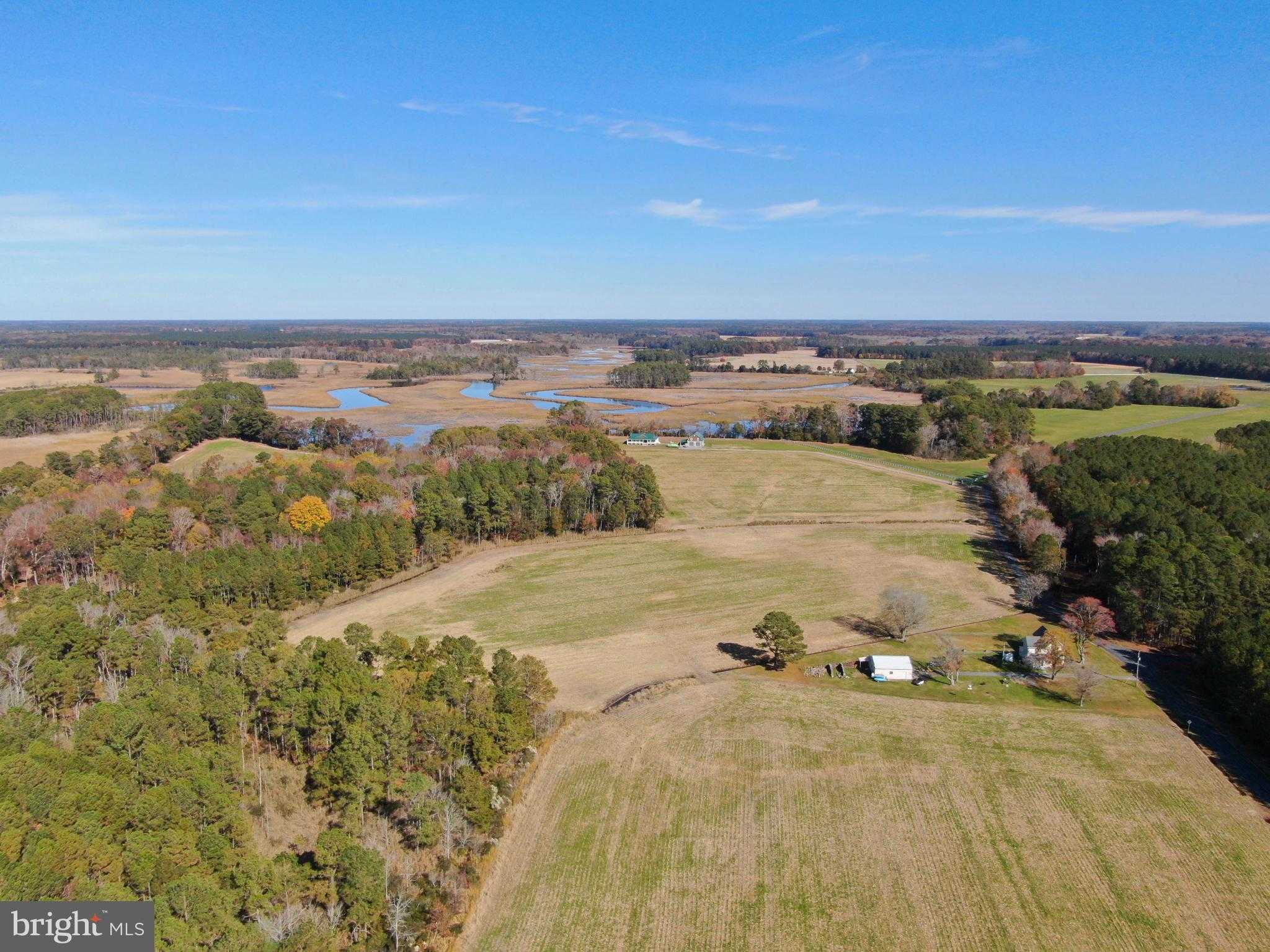 26297 Pitts Creek Rd photo 6