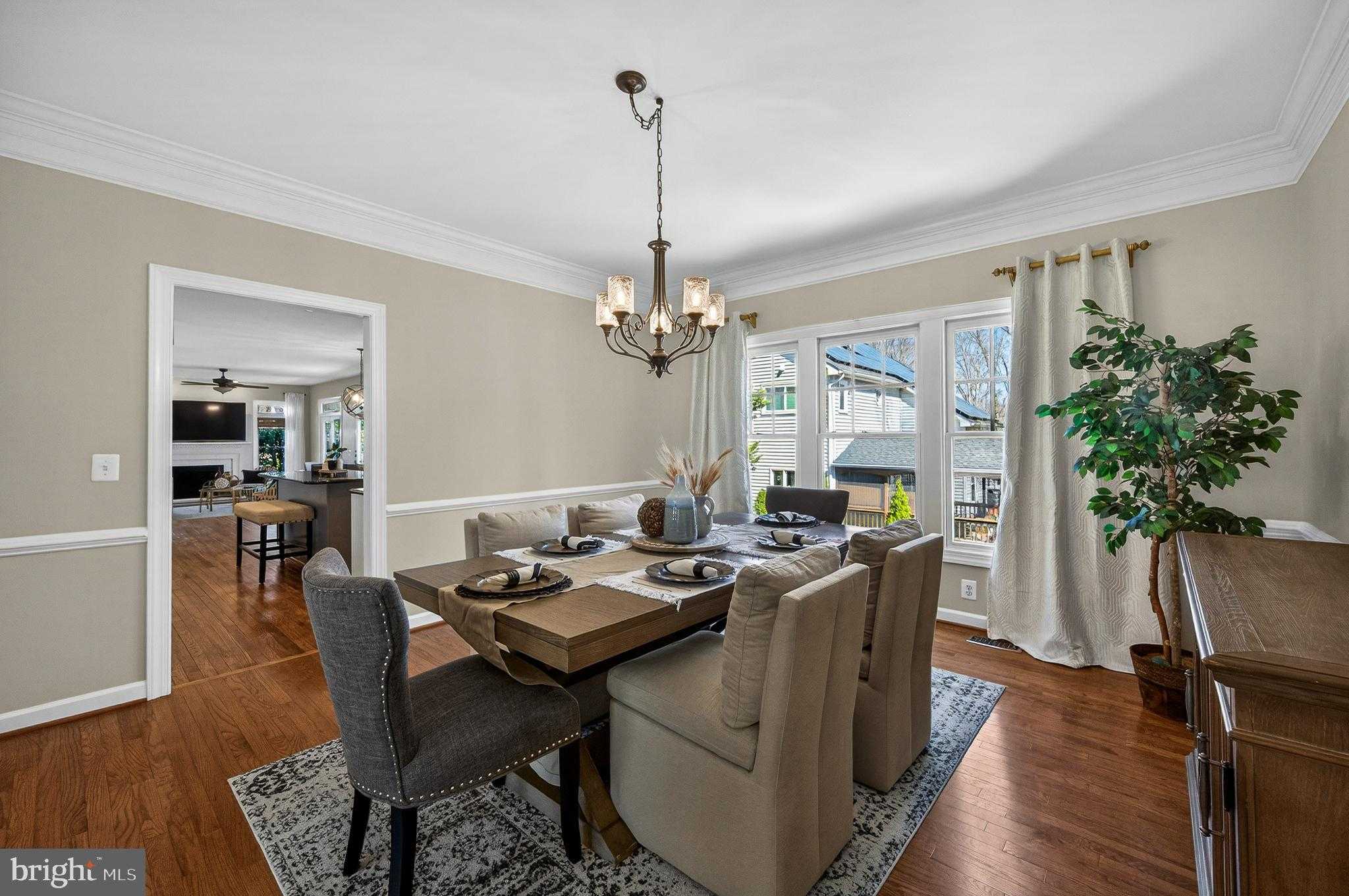 9722 Braided Mane CT photo 17