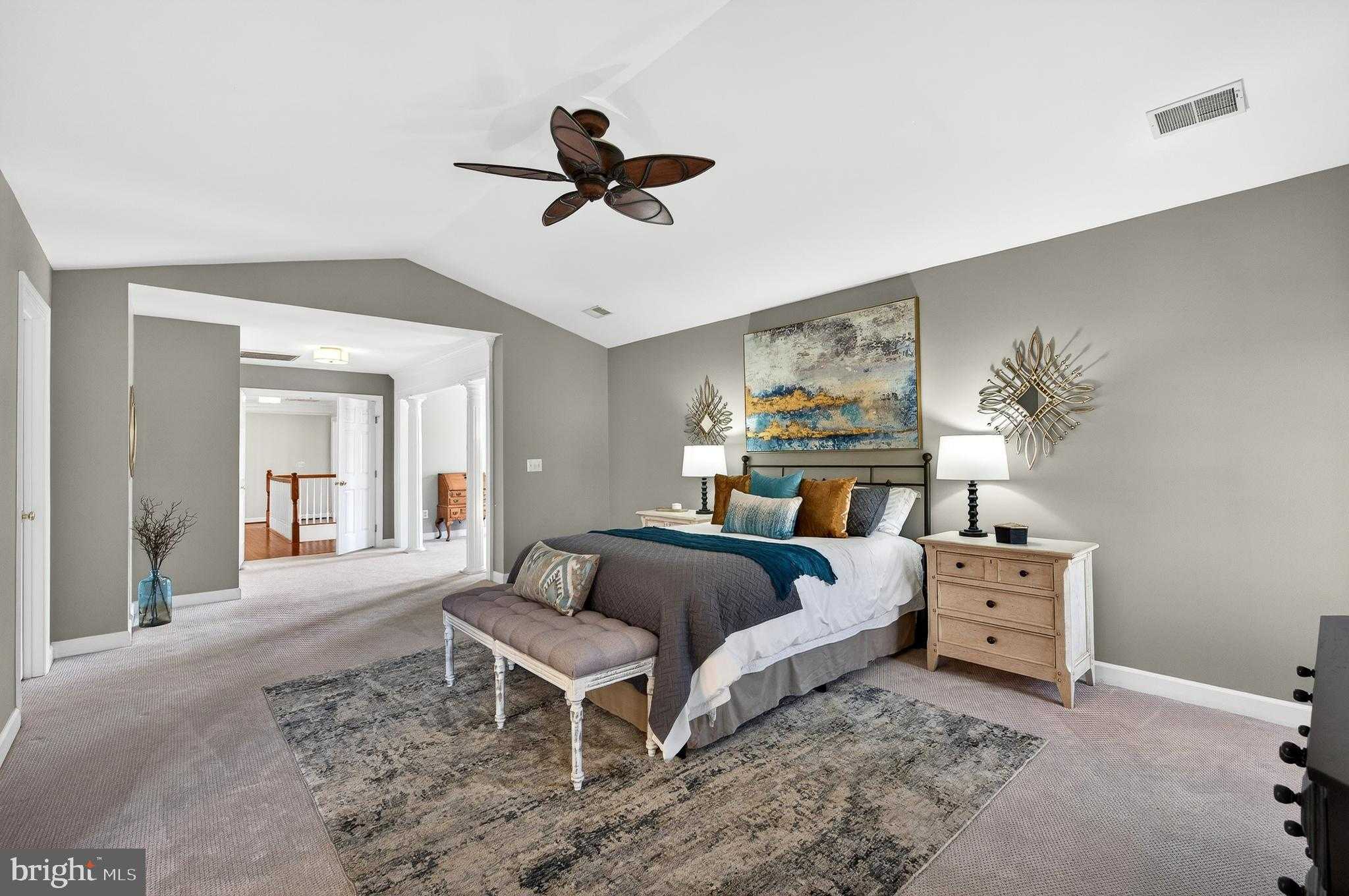 9722 Braided Mane CT photo 41