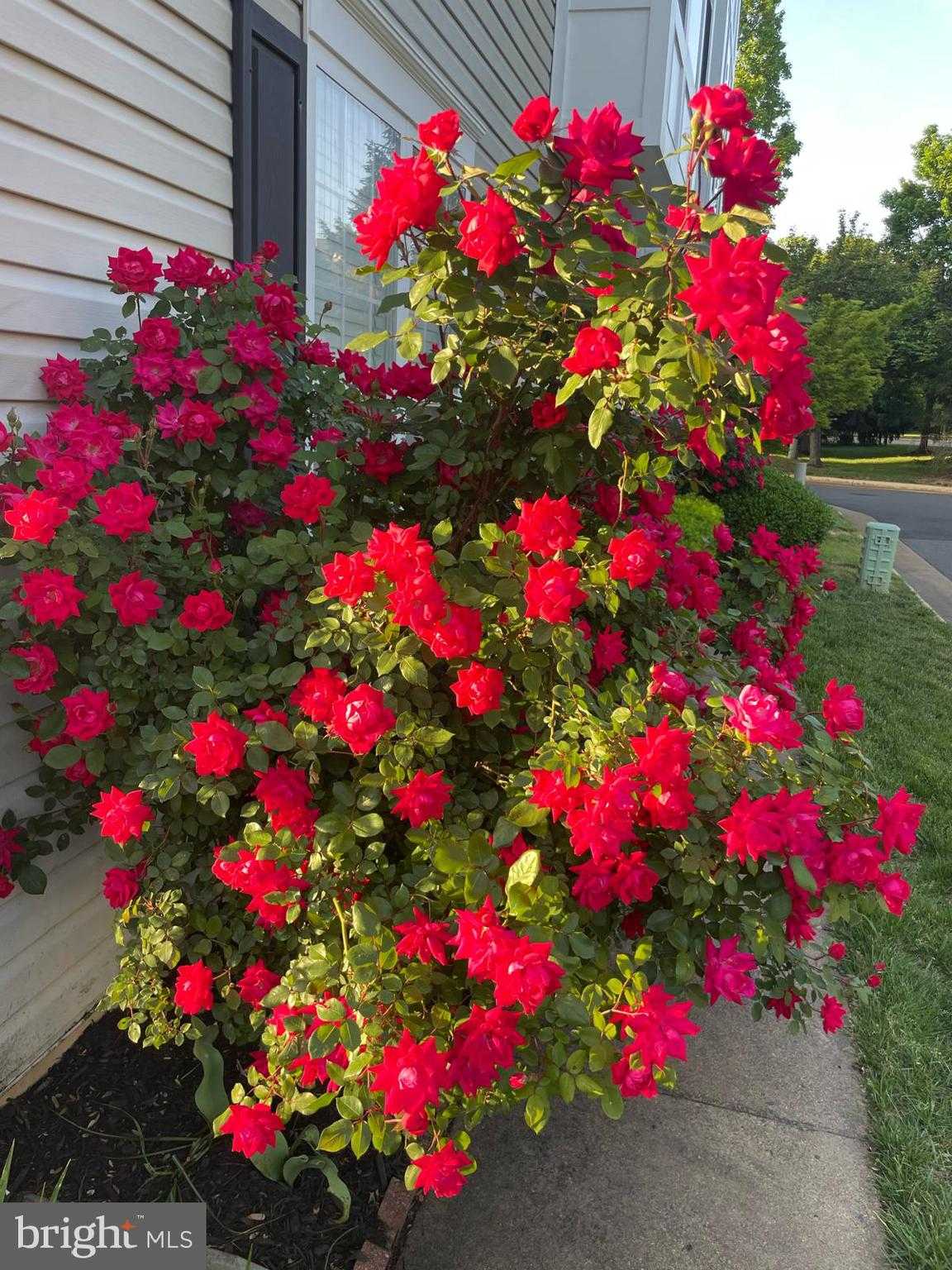 13480 Stanton Pl photo 5