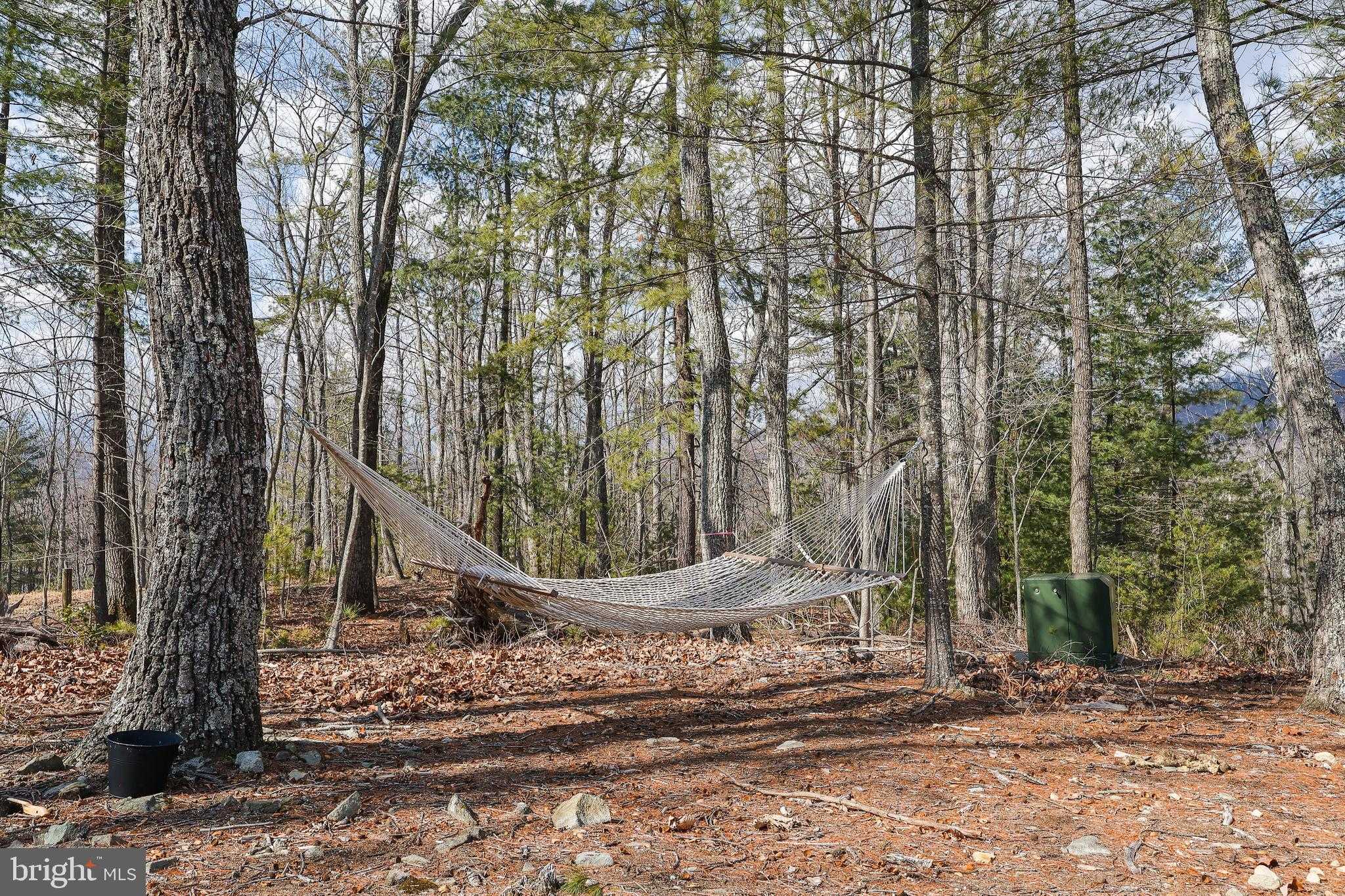 1823 Desert Rd photo 27