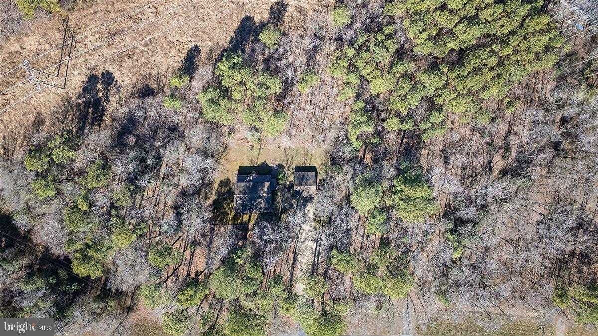 5256 Williamsburg Rd photo 26