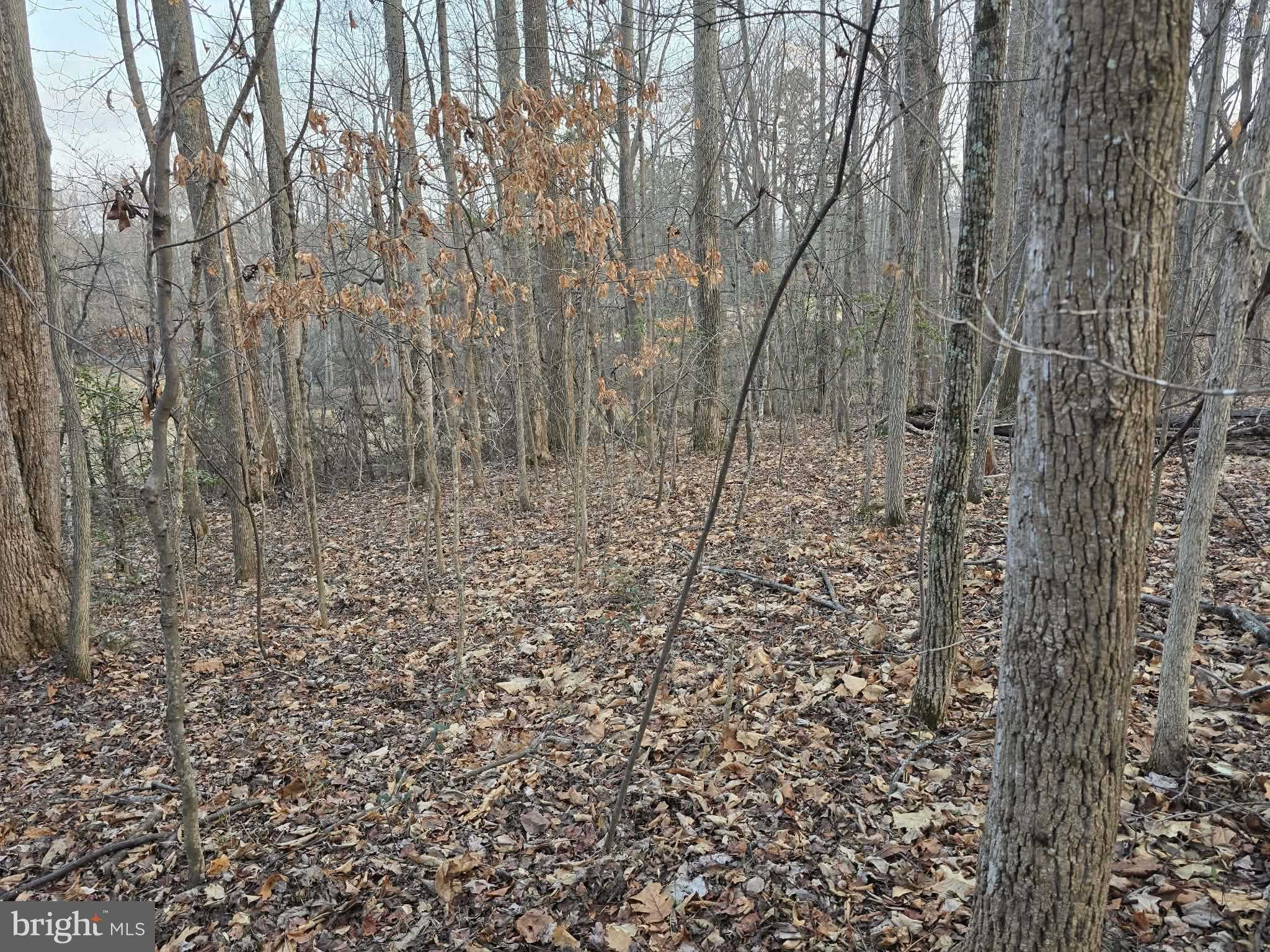 Thoroughfare Rd photo 8