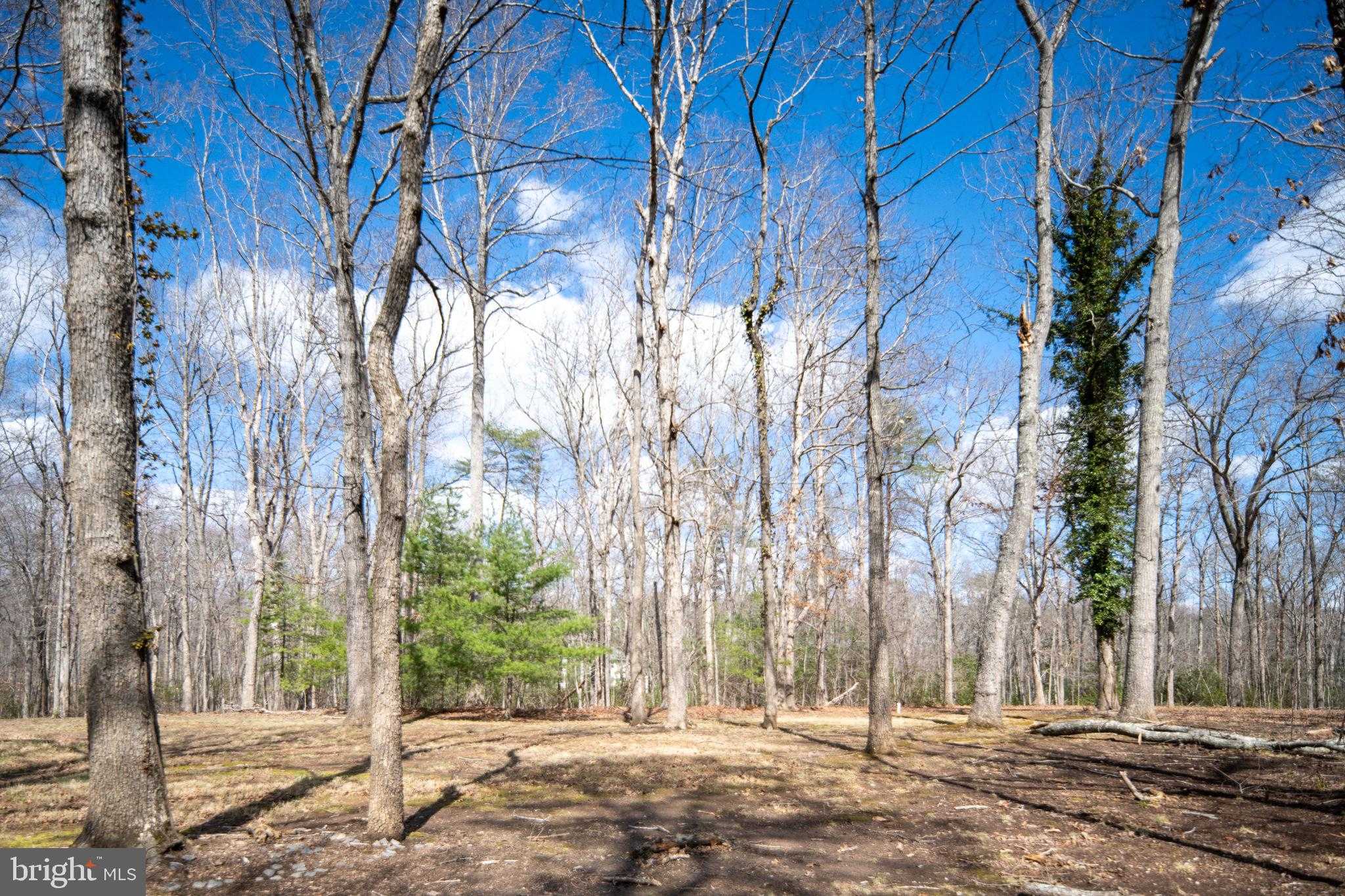 6531 Lanes Corner Rd photo 59