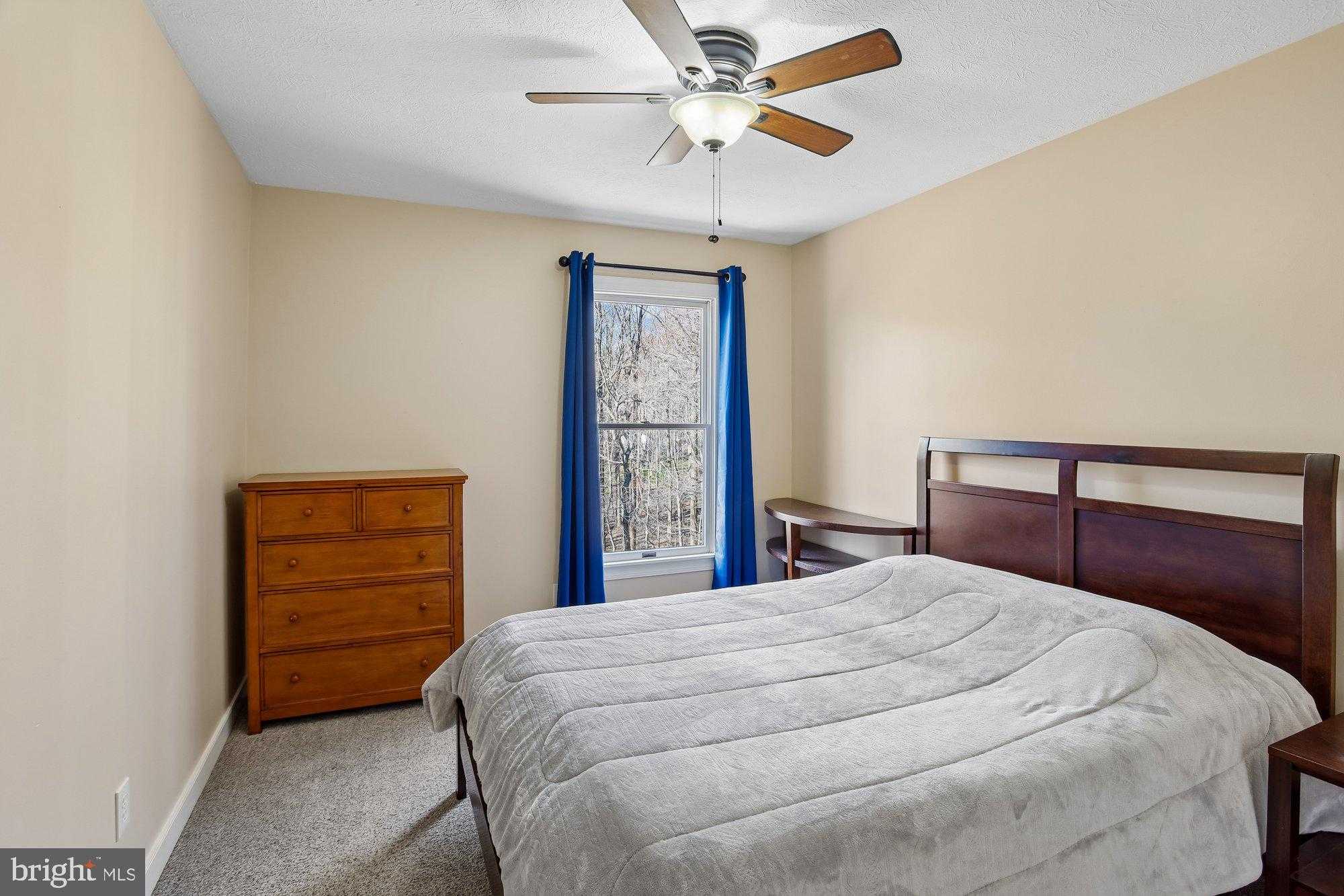 702 Falls Rd photo 37