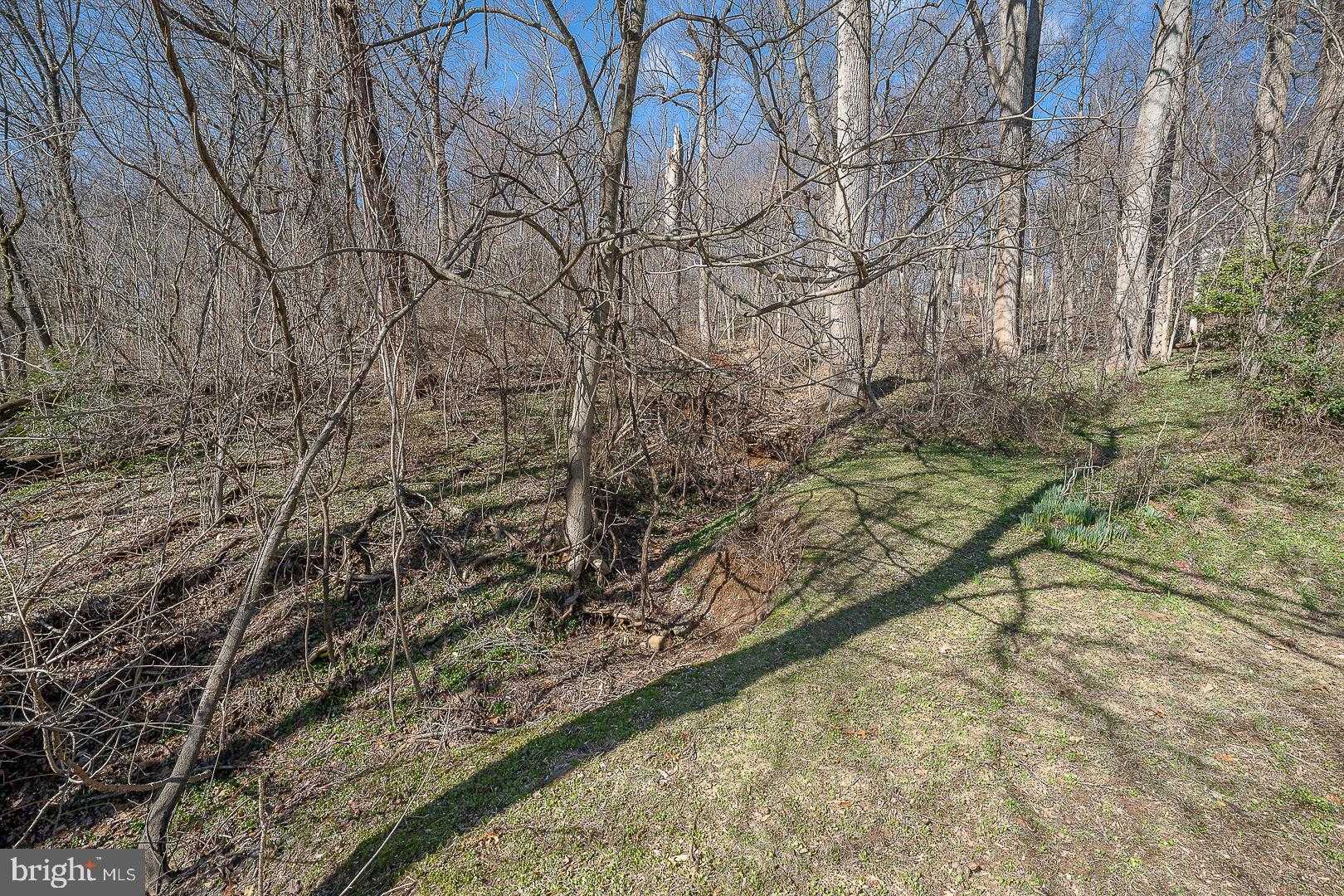 485 Garrison Way photo 57