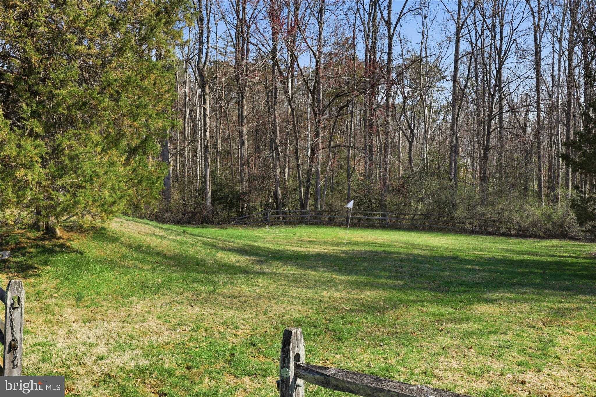 11309 Hunting Horse Dr photo 73