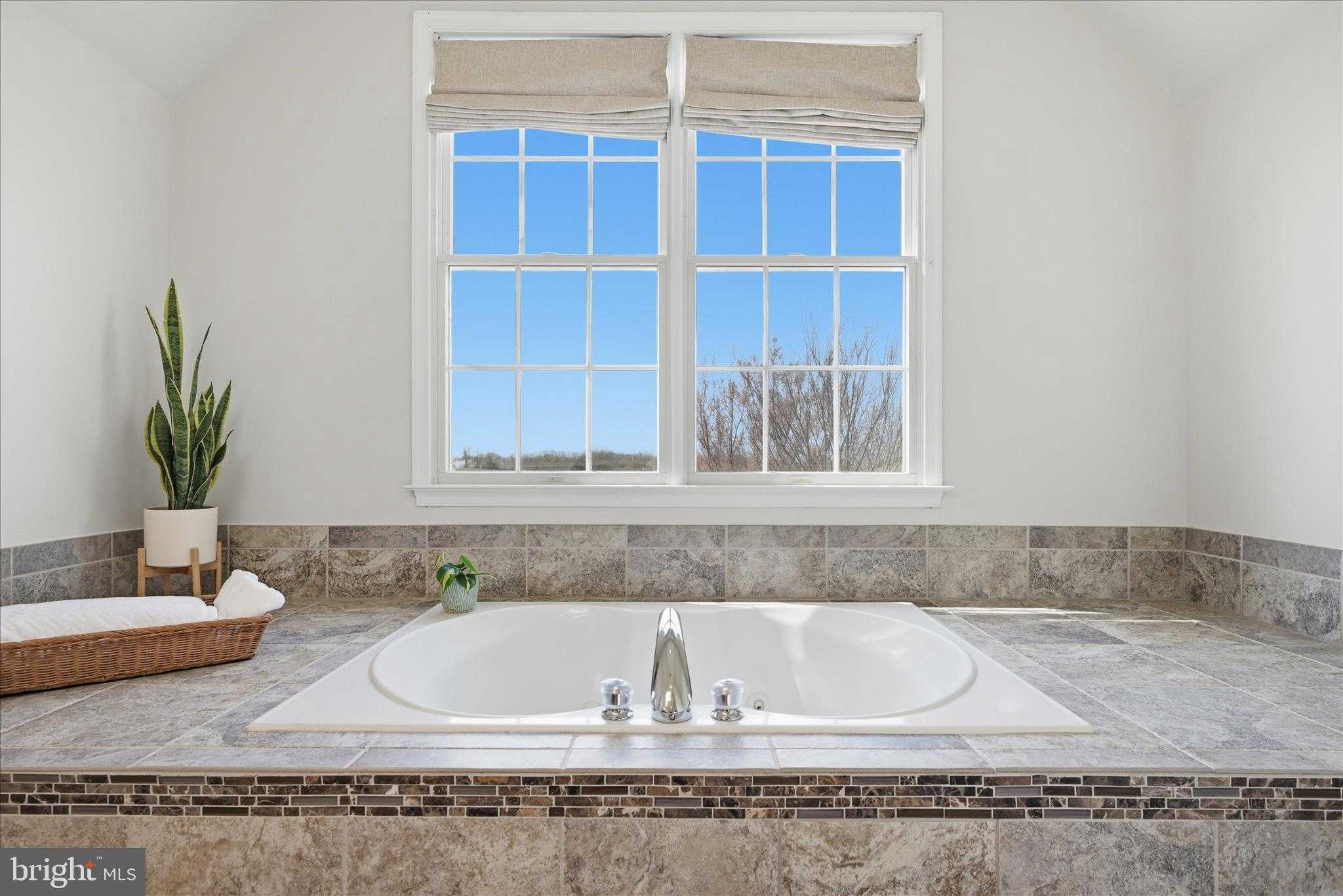 15094 Bankfield Dr photo 47