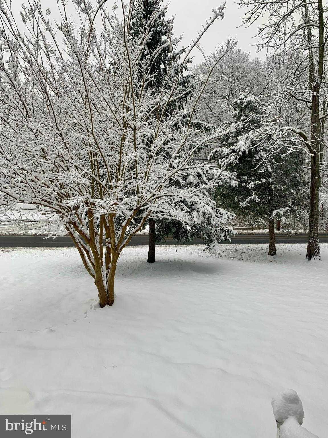 3280 Arundel On The Bay Rd photo 46