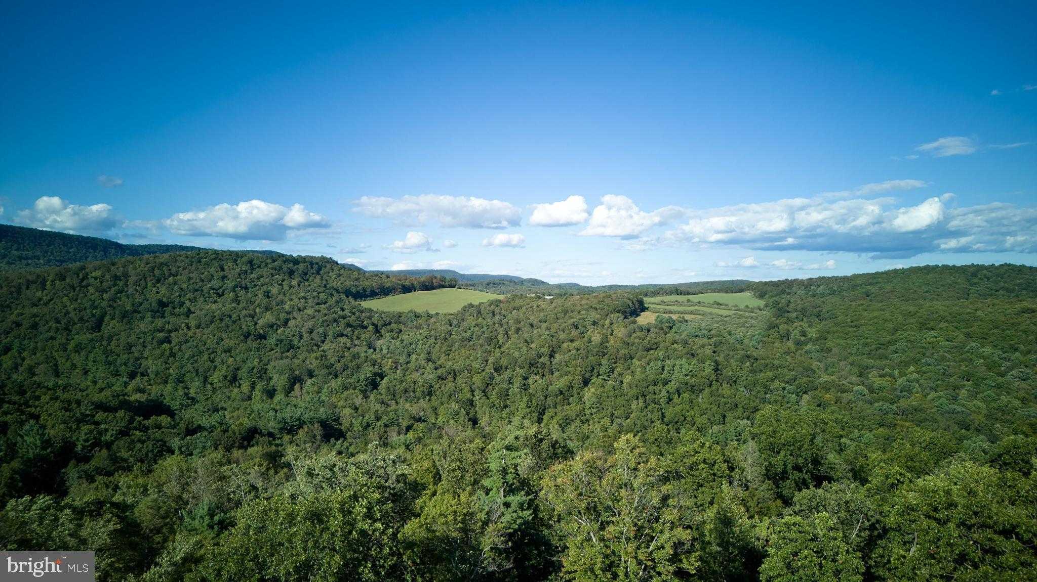 800 High Pines Ln photo 12