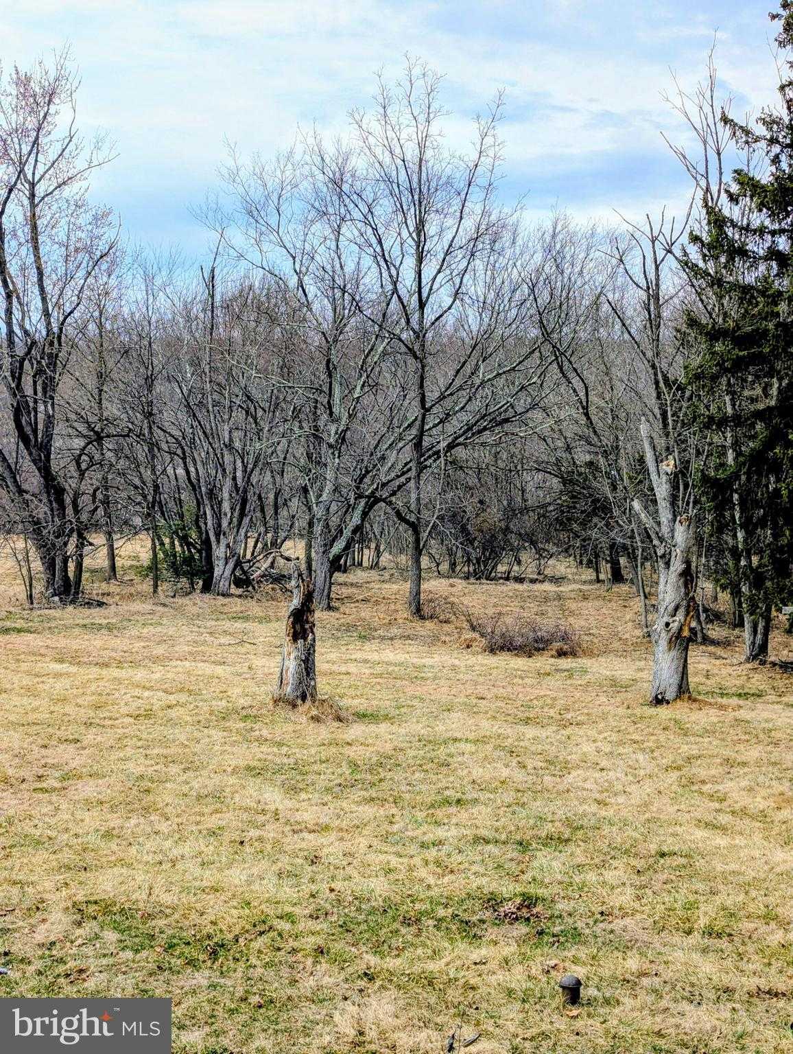 2941 Sunset Ave photo 24