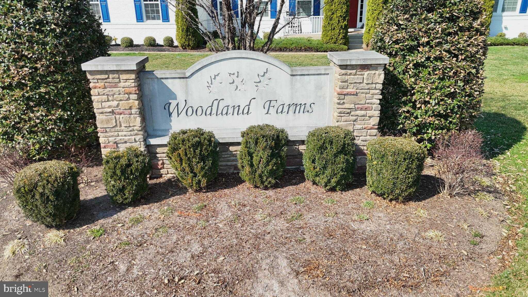 7525 Hunter Woods Dr photo 85